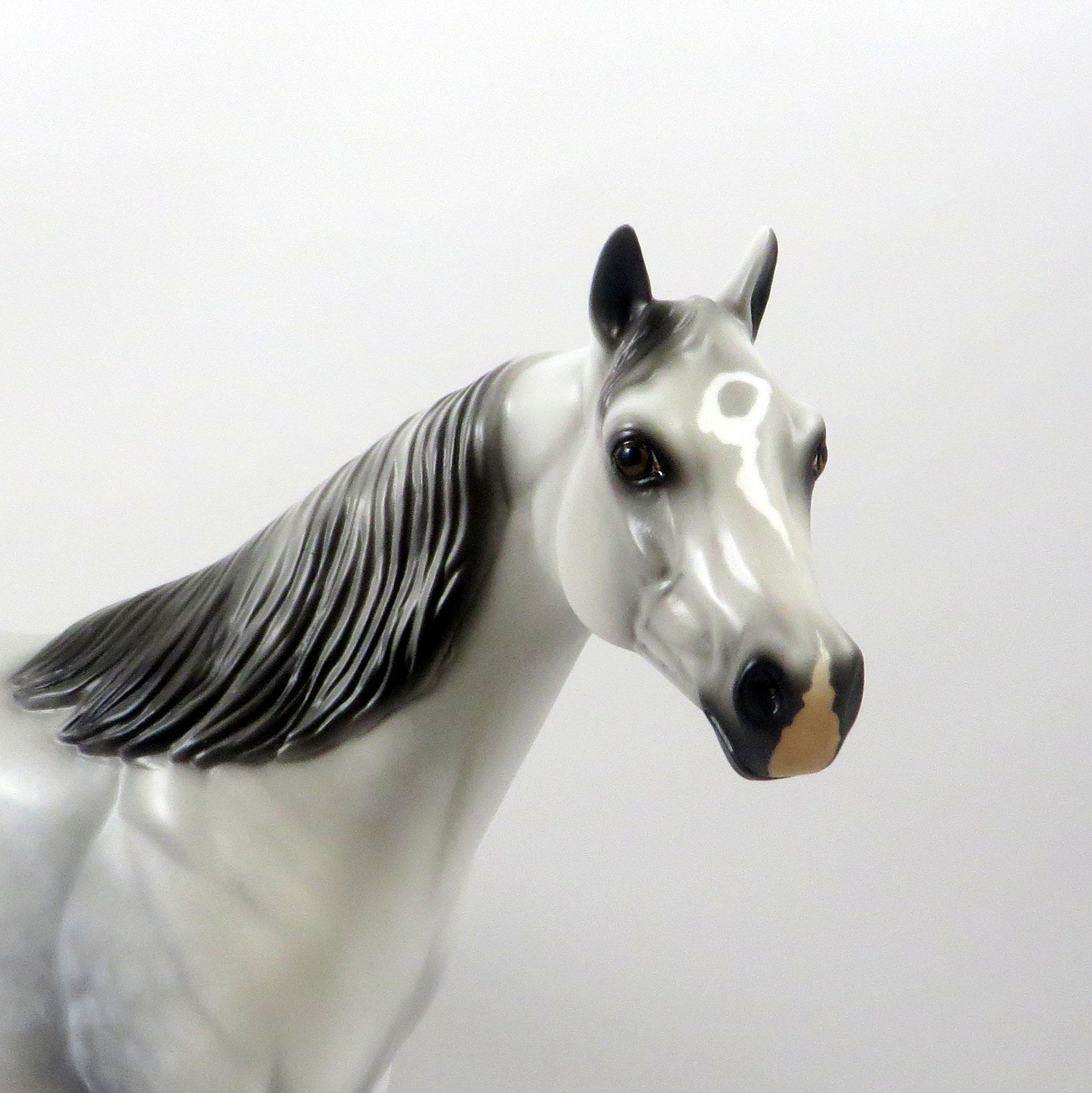 SCRATCH ME NOT-OOAK STAR DAPPLE GREY ISH MODEL HORSE 8/6/19