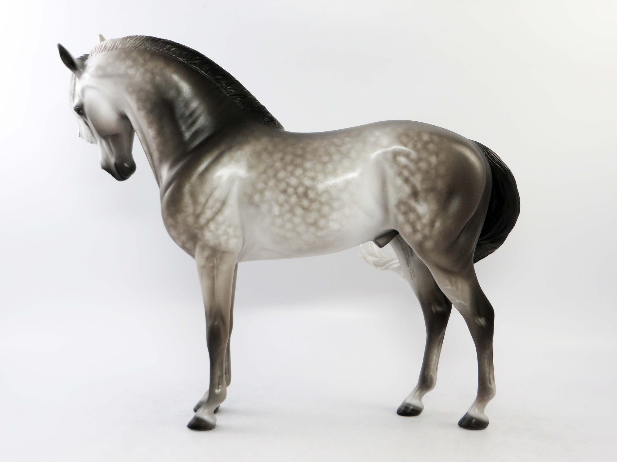 CORTLAND-OOAK STAR DAPPLE DARK GREY  ANDALUSIAN MODEL HORSE BY SHERYL LEISURE EQ 2018