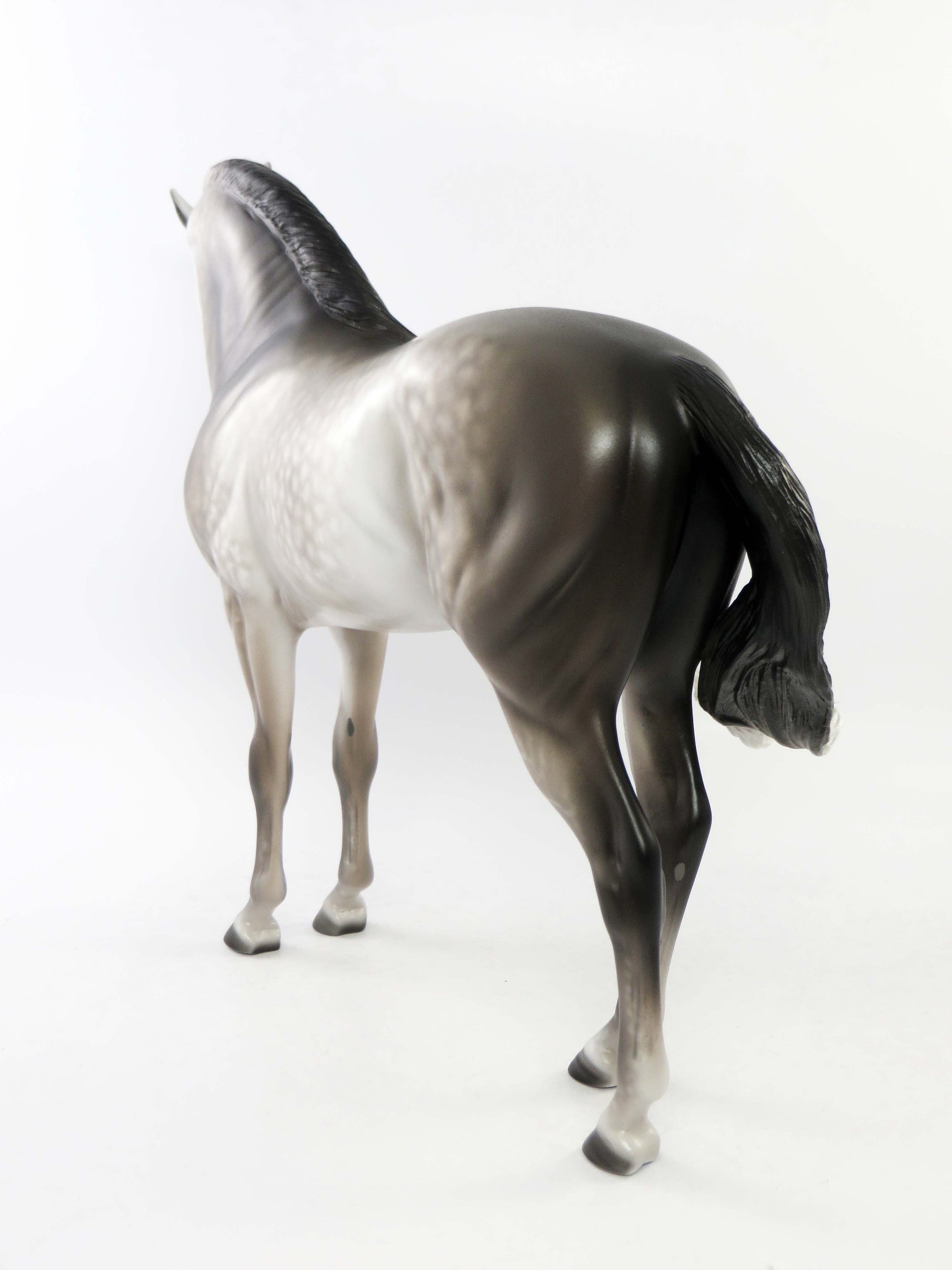 CORTLAND-OOAK STAR DAPPLE DARK GREY  ANDALUSIAN MODEL HORSE BY SHERYL LEISURE EQ 2018