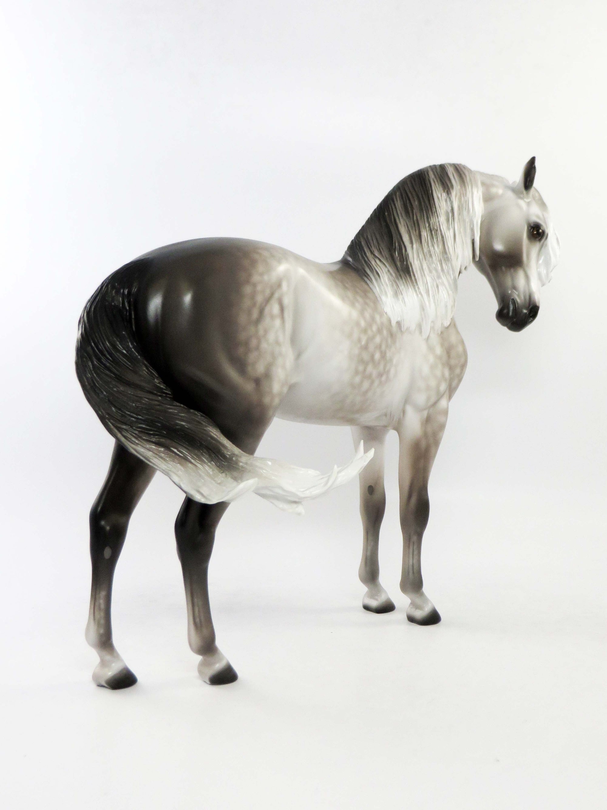 CORTLAND-OOAK STAR DAPPLE DARK GREY  ANDALUSIAN MODEL HORSE BY SHERYL LEISURE EQ 2018