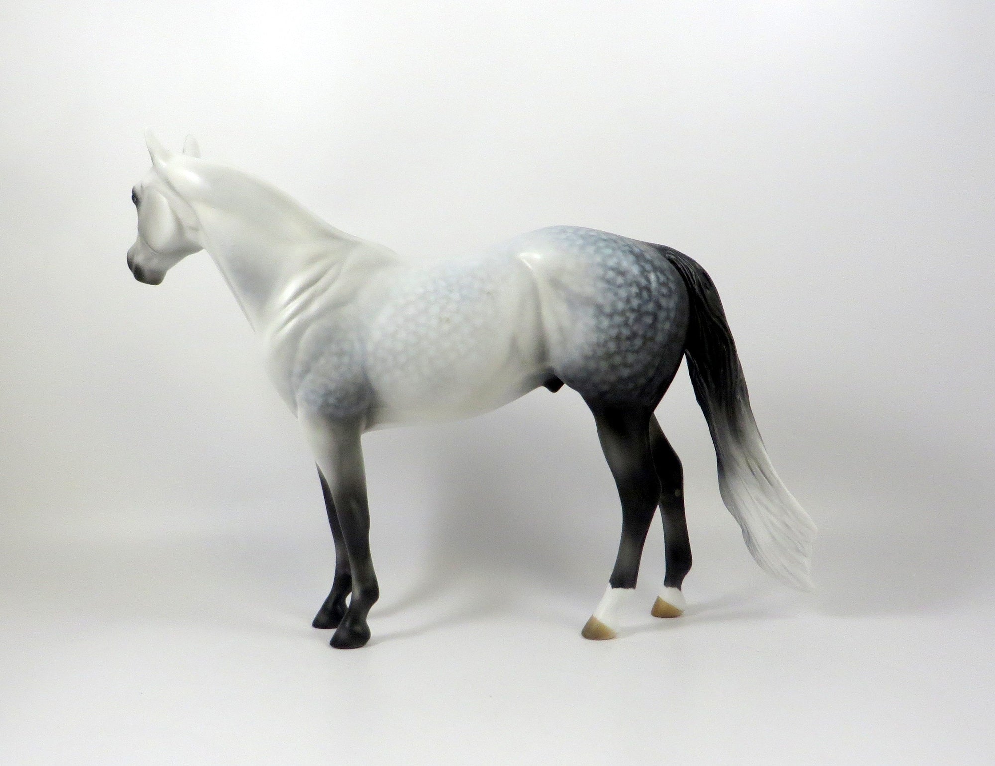 SCRATCH ME NOT-OOAK STAR DAPPLE GREY ISH MODEL HORSE 8/6/19