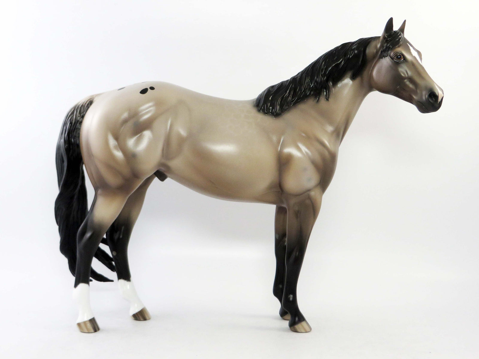 CUYAHOGA-OOAK ETCHED ROAN APPALOOSA  ISH MODEL HORSE BY SHERYL LEISURE EQ 2018