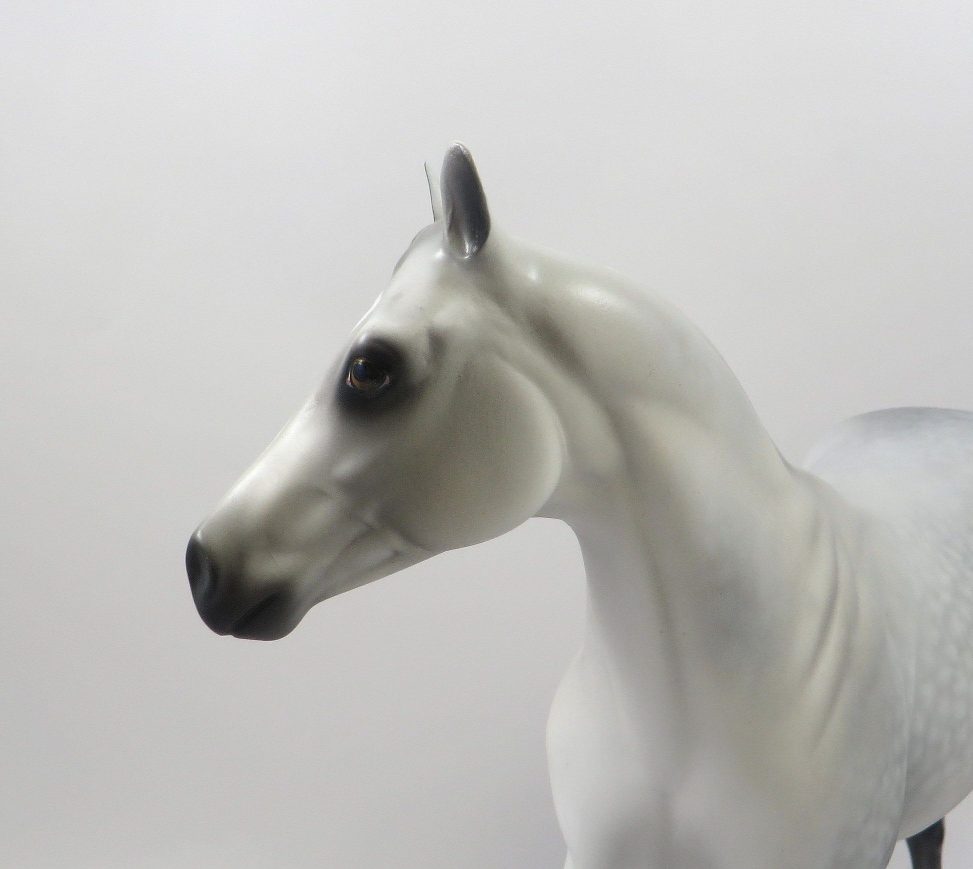 SCRATCH ME NOT-OOAK STAR DAPPLE GREY ISH MODEL HORSE 8/6/19