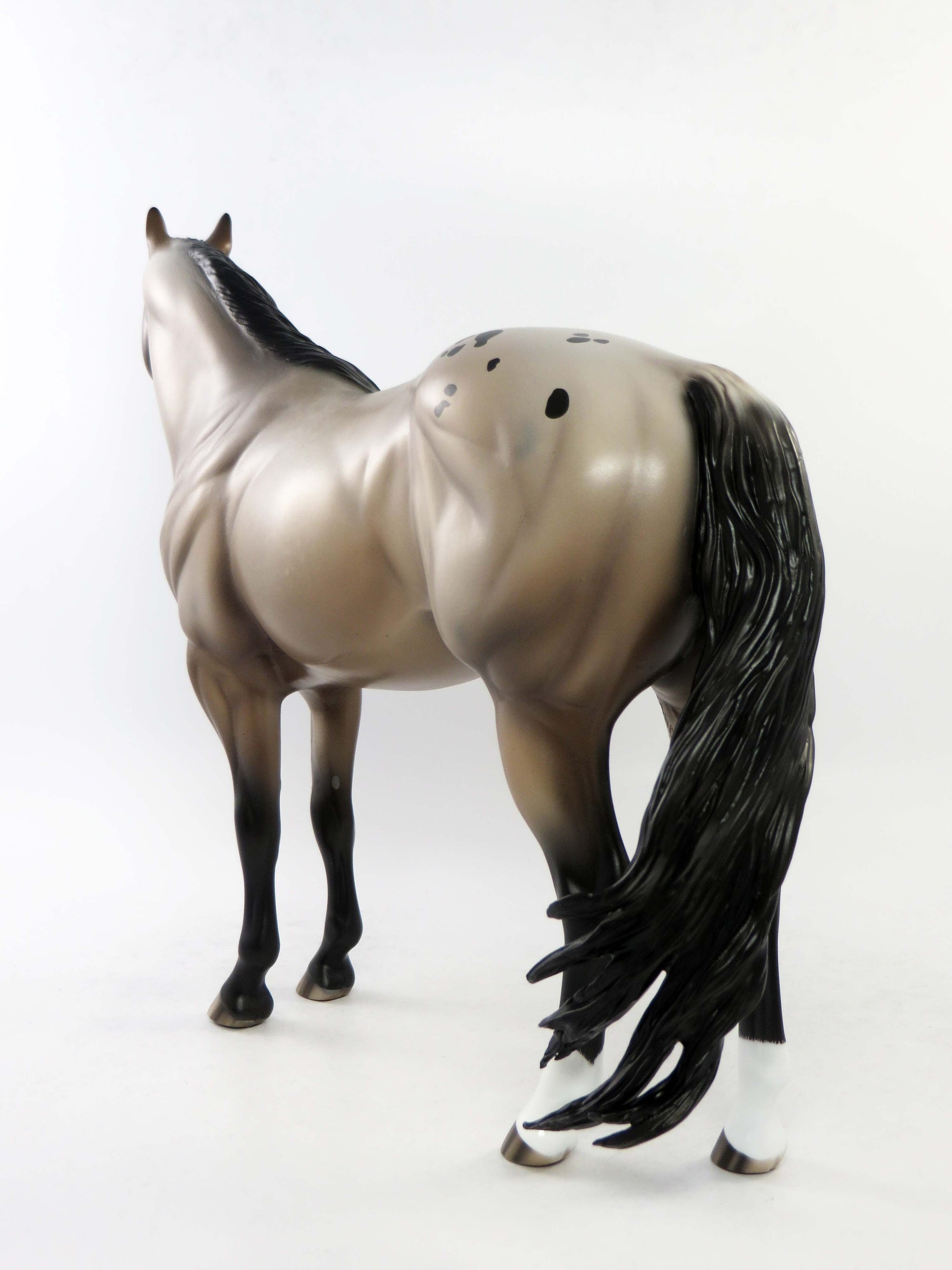 CUYAHOGA-OOAK ETCHED ROAN APPALOOSA  ISH MODEL HORSE BY SHERYL LEISURE EQ 2018