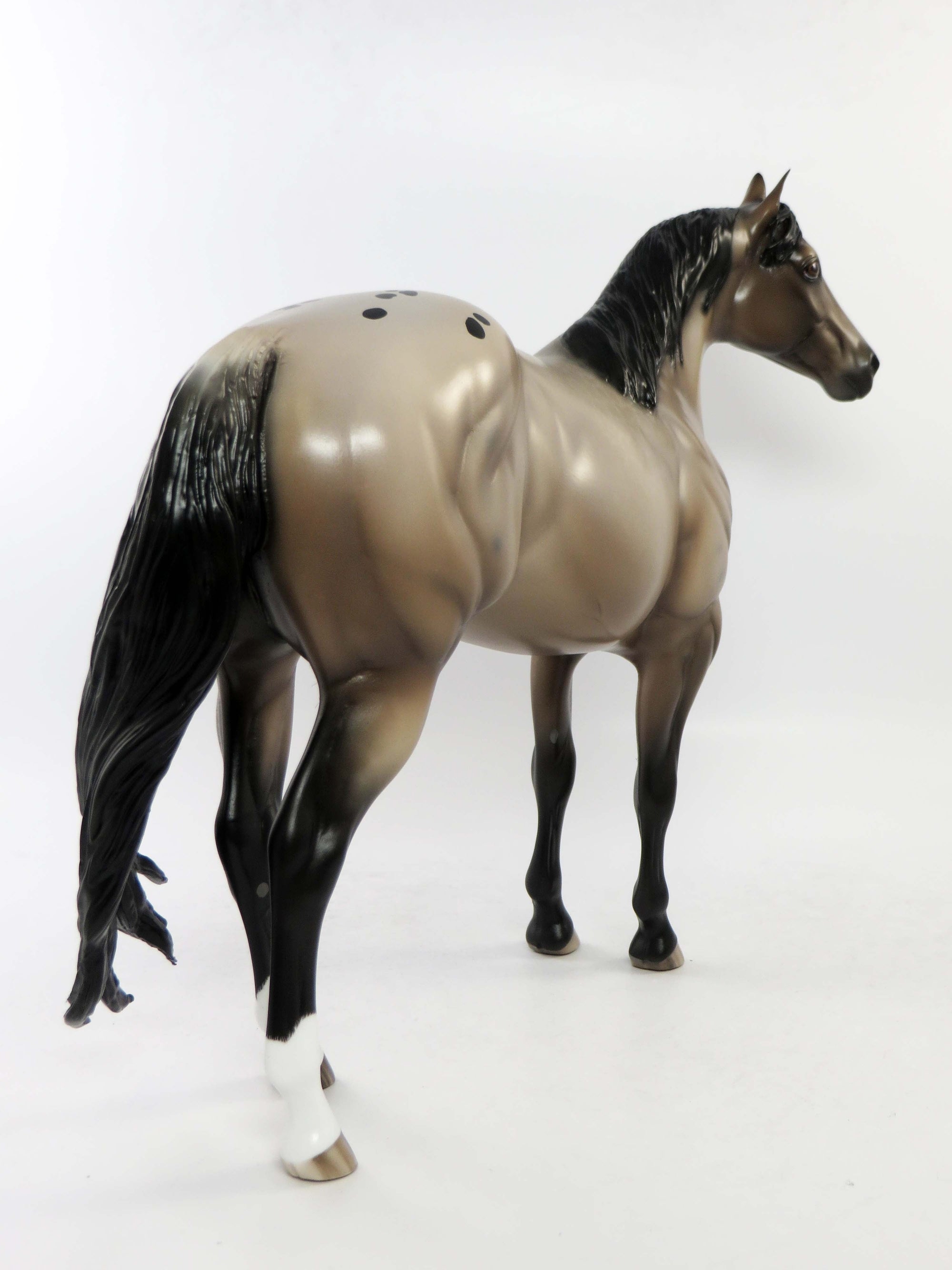 CUYAHOGA-OOAK ETCHED ROAN APPALOOSA  ISH MODEL HORSE BY SHERYL LEISURE EQ 2018