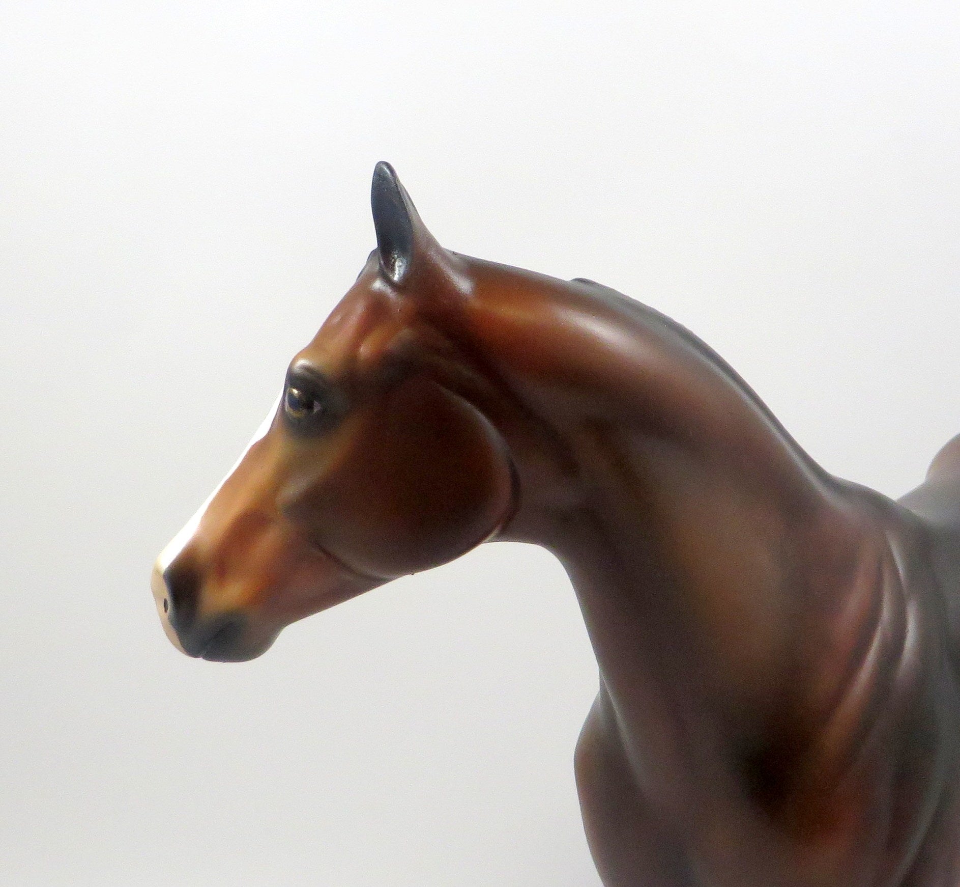 QUICK SPLIT-OOAK DAPPLE BAY ISH MODEL HORSE 8/6/19