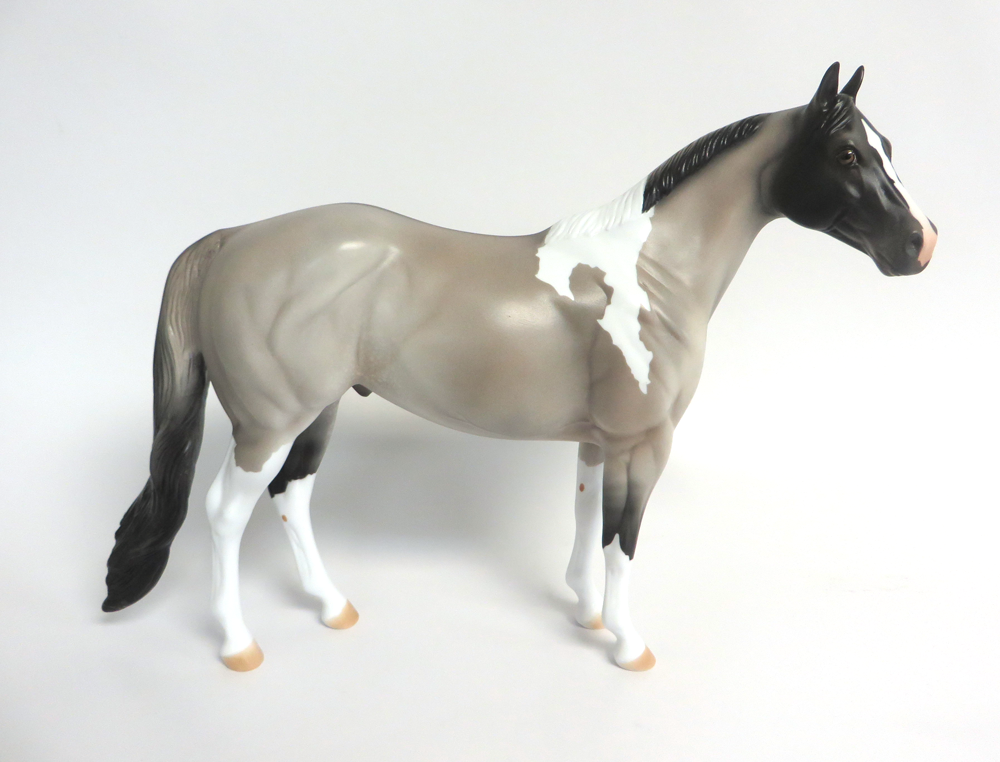 FERGUS-LE-15 GRULLA PINTO ISH MODEL HORSE 3/14/2019