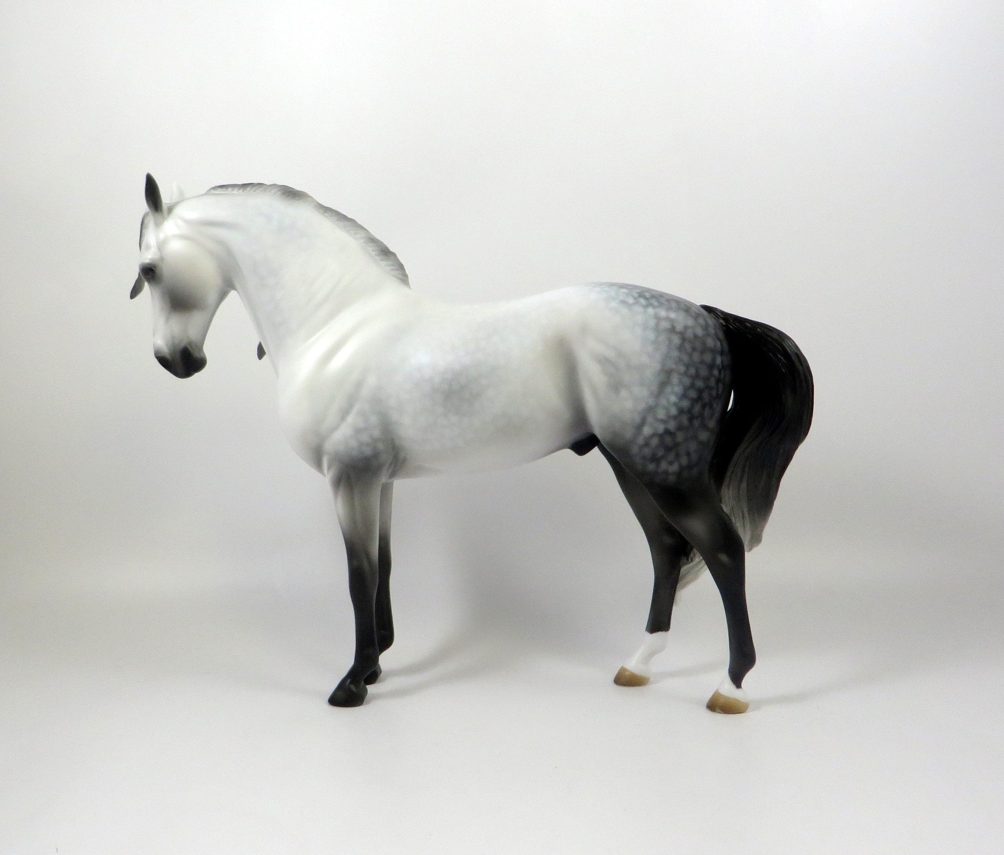 MADE YOU LOOK-OOAK STAR DAPPLE GREY ANDALUSIAN MODEL HORSE 8/6/19