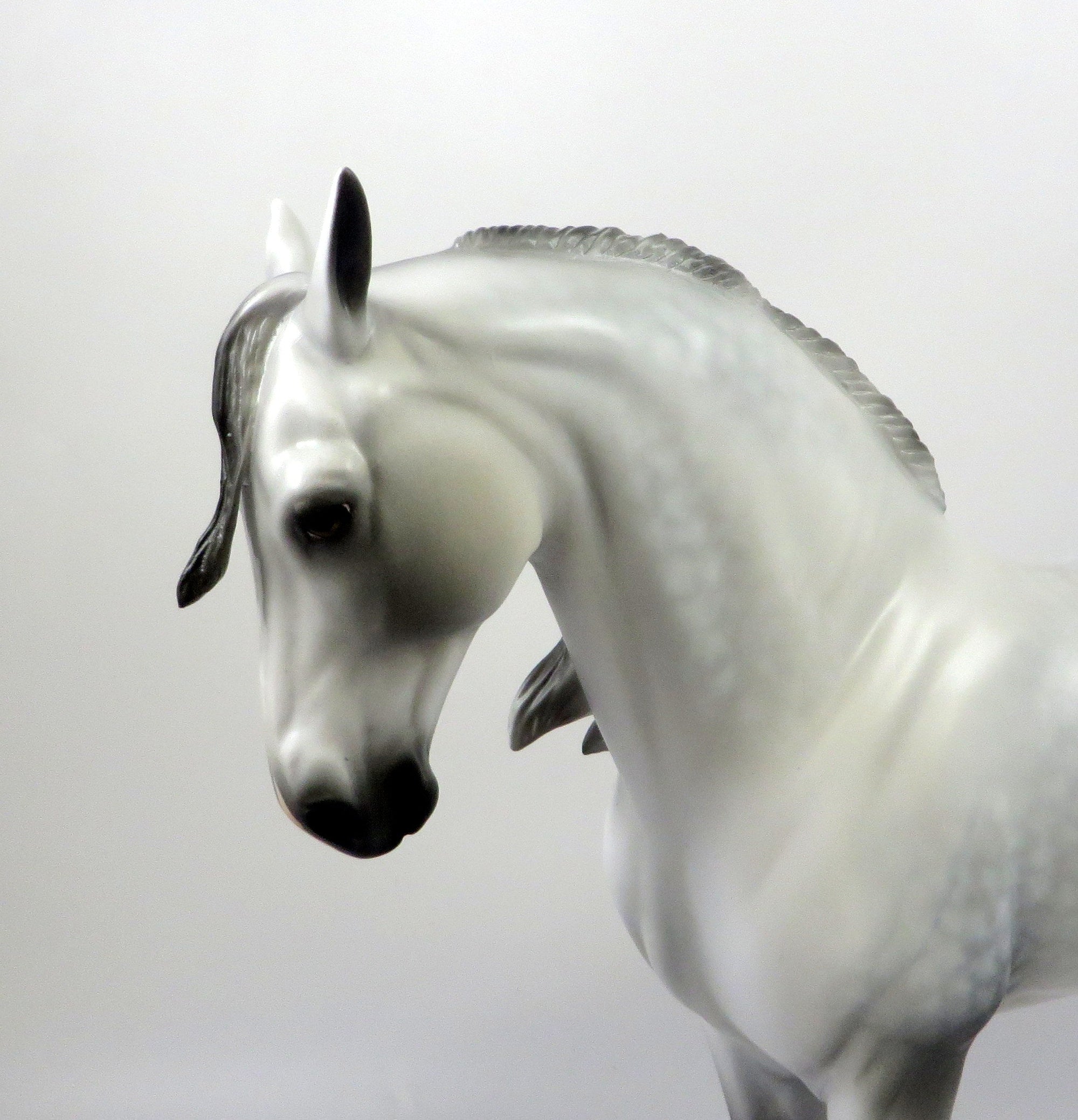 MADE YOU LOOK-OOAK STAR DAPPLE GREY ANDALUSIAN MODEL HORSE 8/6/19
