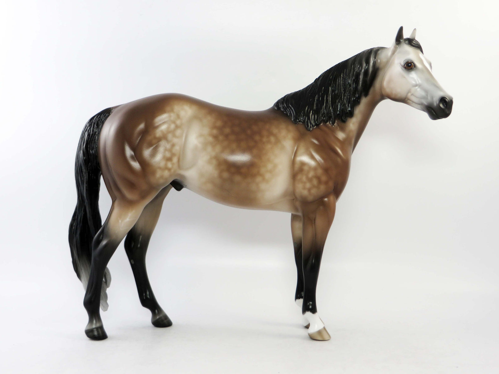 TRENTON - OOAK DAPPLE BAY GOING GREY ISH MODEL HORSE BY SHERYL LEISURE EQ 2018