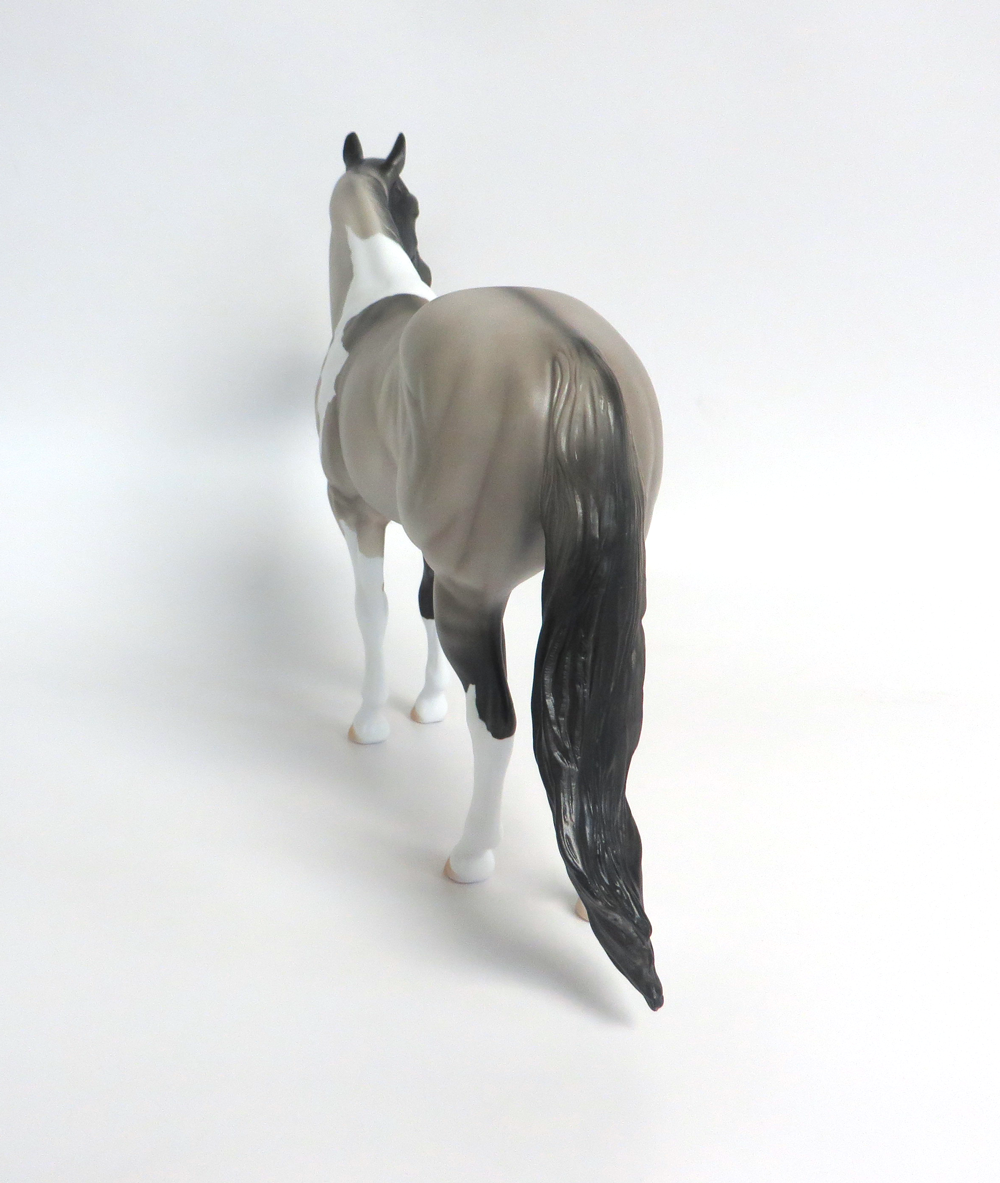 FERGUS-LE-15 GRULLA PINTO ISH MODEL HORSE 3/14/2019
