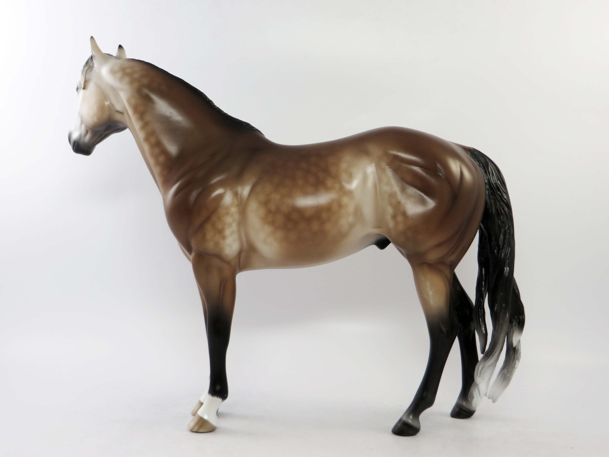 TRENTON - OOAK DAPPLE BAY GOING GREY ISH MODEL HORSE BY SHERYL LEISURE EQ 2018