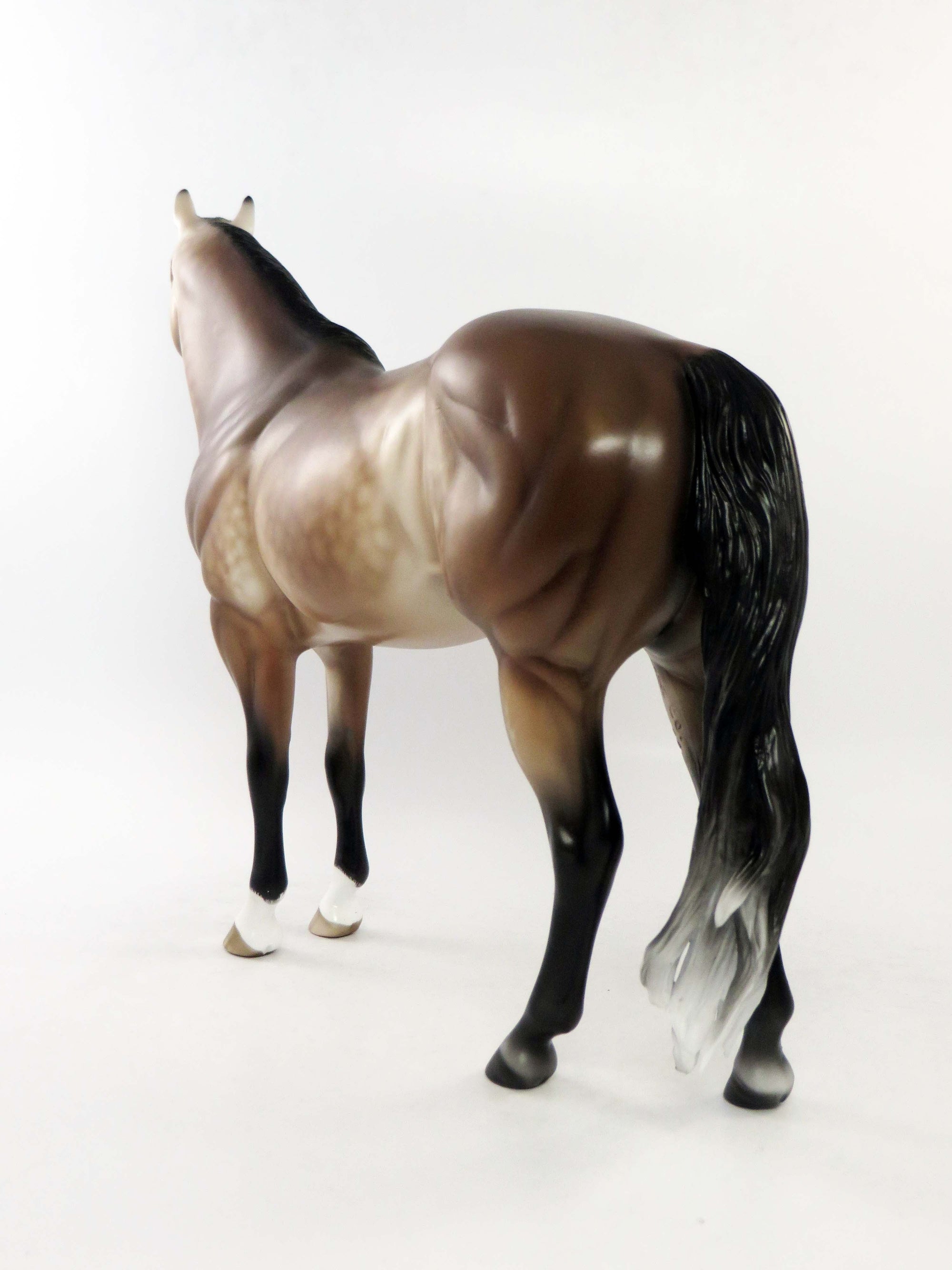 TRENTON - OOAK DAPPLE BAY GOING GREY ISH MODEL HORSE BY SHERYL LEISURE EQ 2018