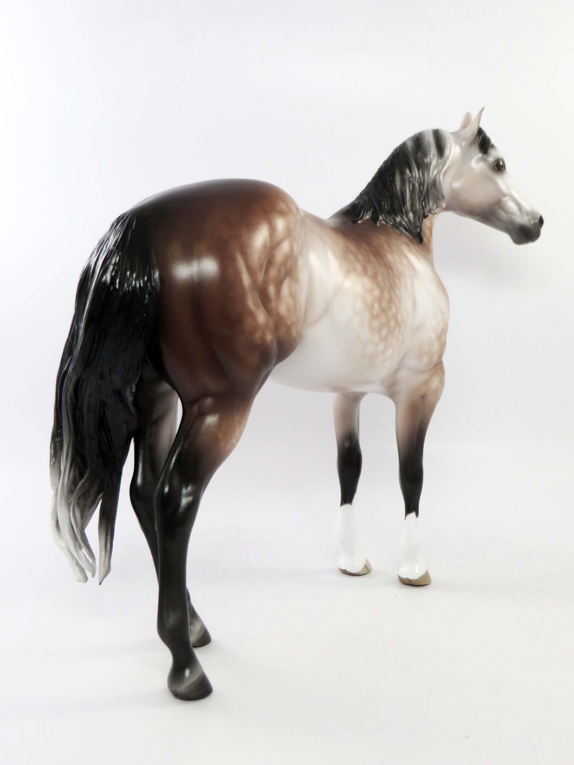 TRENTON - OOAK DAPPLE BAY GOING GREY ISH MODEL HORSE BY SHERYL LEISURE EQ 2018