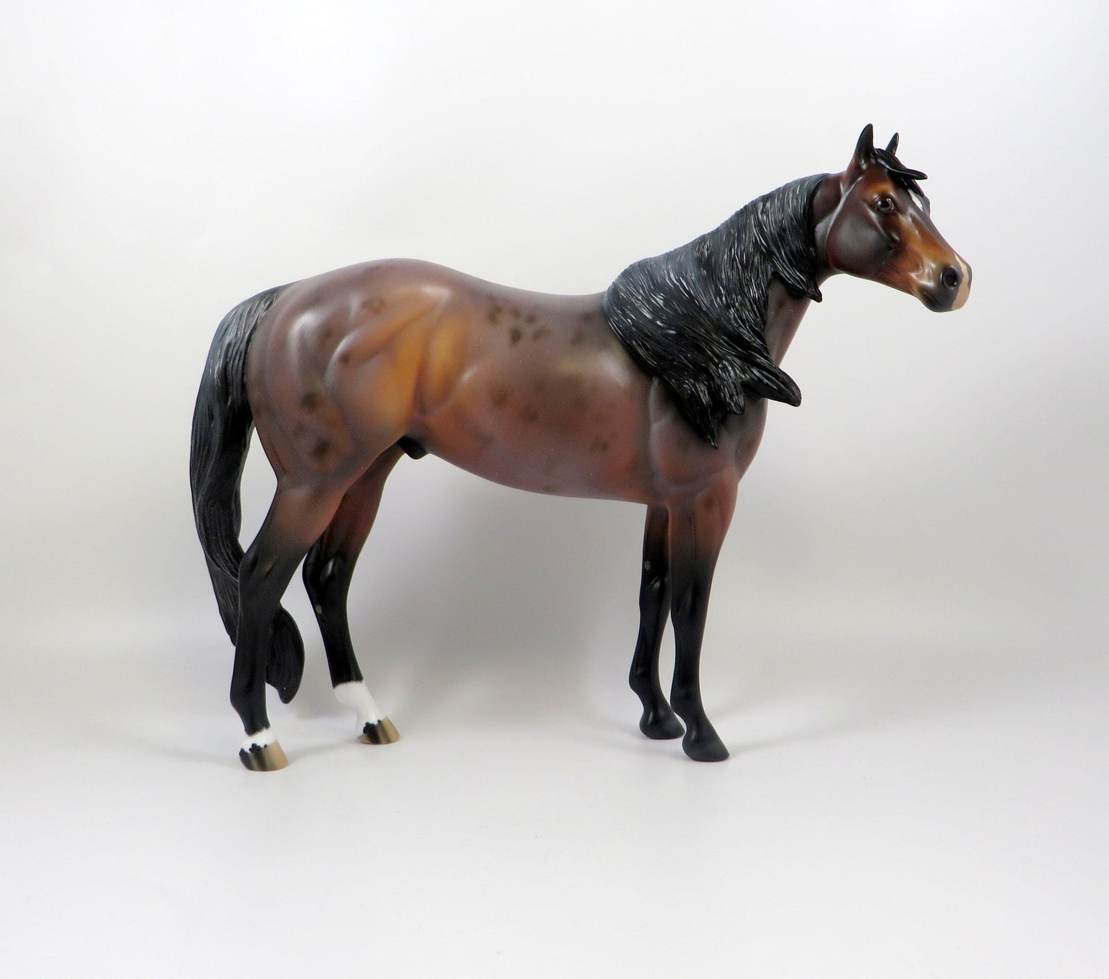 OBLIVION-OOAK BAY ROAN ISH MODEL HORSE 8/6/19