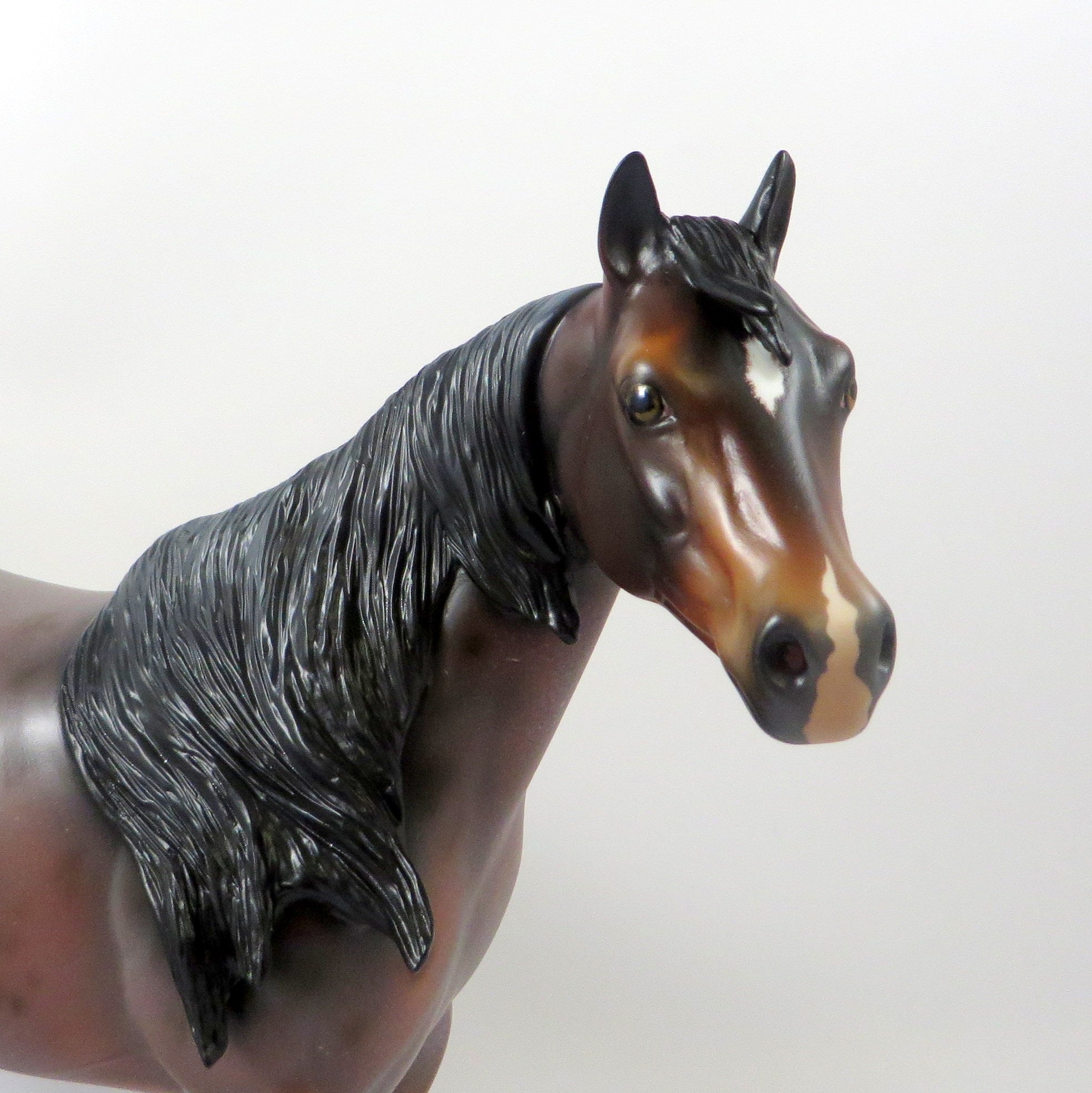 OBLIVION-OOAK BAY ROAN ISH MODEL HORSE 8/6/19