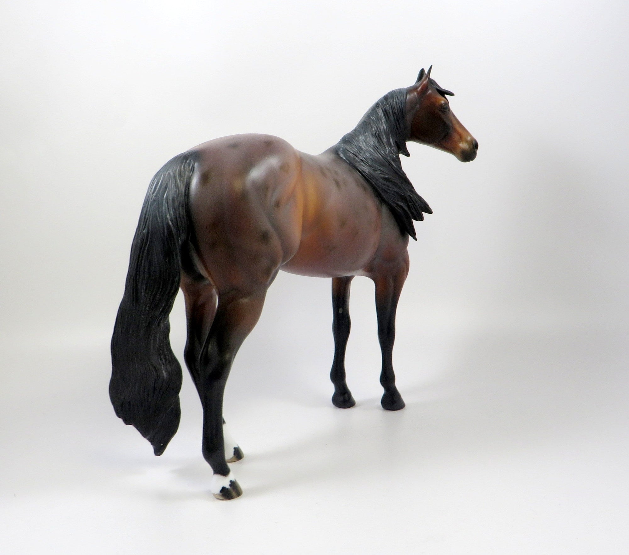 OBLIVION-OOAK BAY ROAN ISH MODEL HORSE 8/6/19