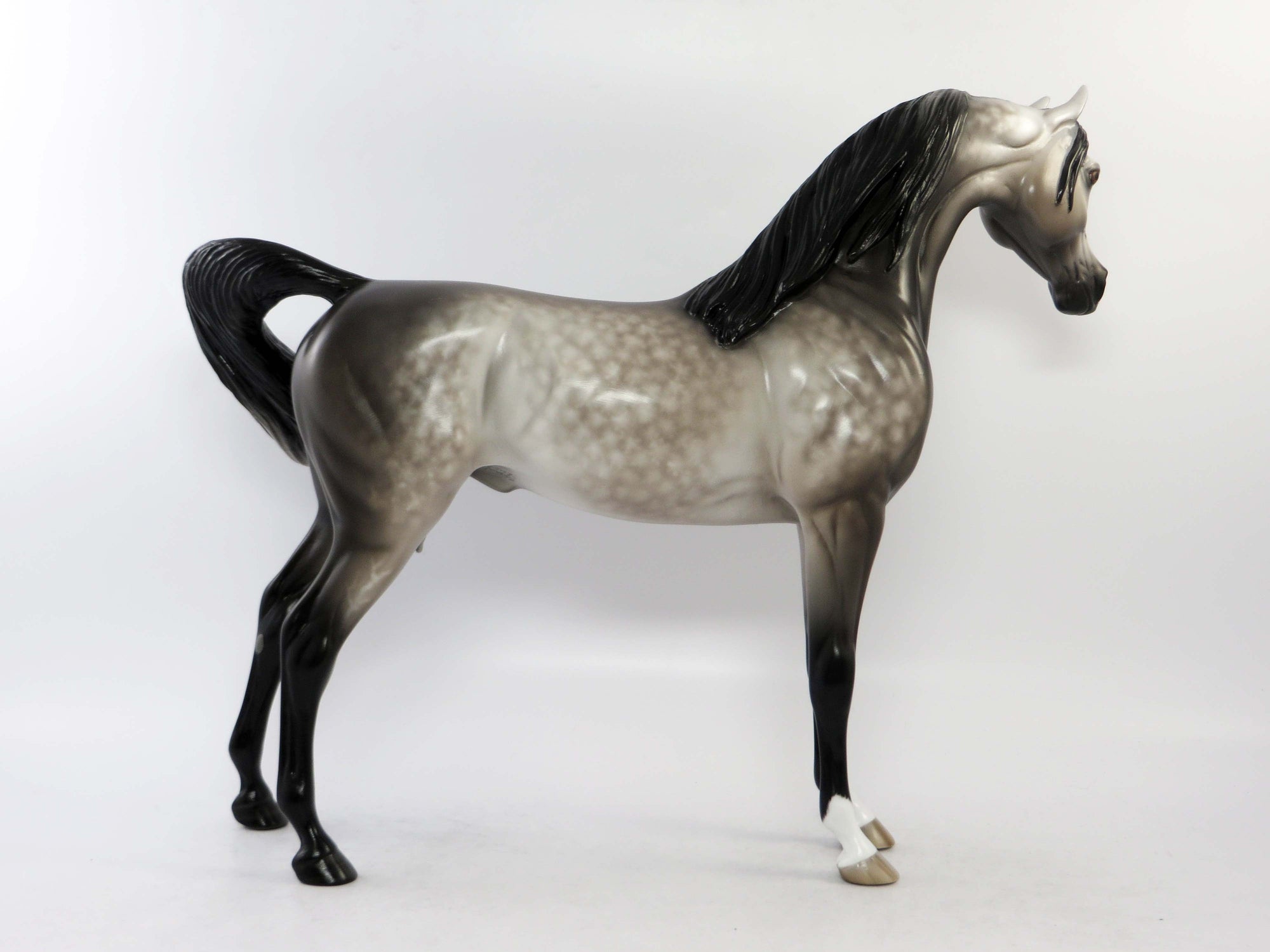 WILLOWICK-OOAK DARK GREY STAR DAPPLE ARABIAN MODEL HORSE BY SHERYL LEISURE EQ 2018