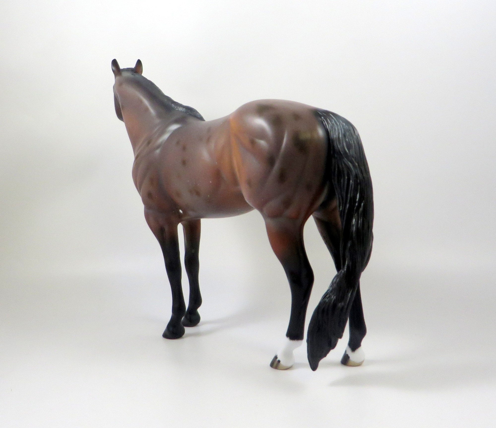 OBLIVION-OOAK BAY ROAN ISH MODEL HORSE 8/6/19