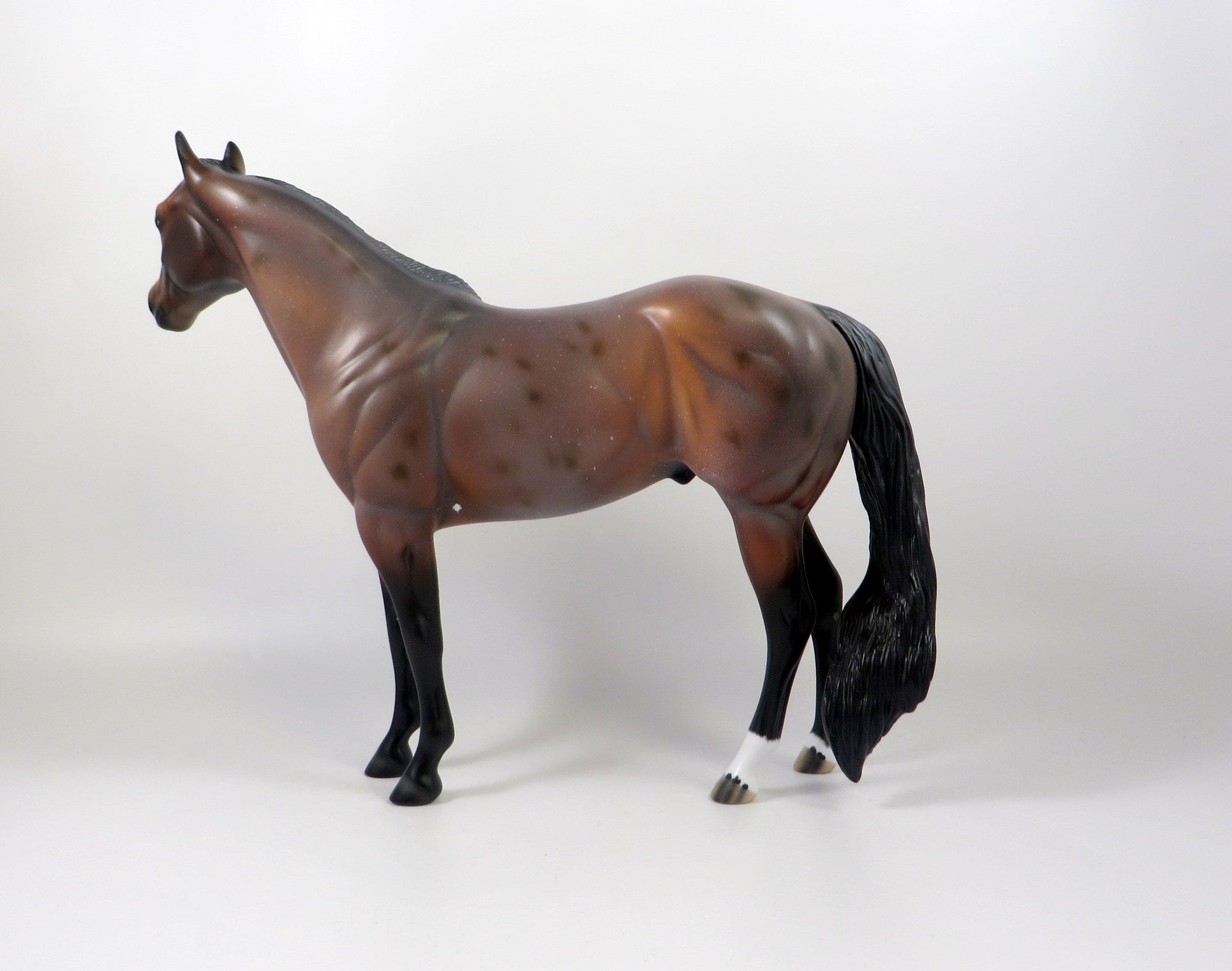 OBLIVION-OOAK BAY ROAN ISH MODEL HORSE 8/6/19