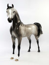 WILLOWICK-OOAK DARK GREY STAR DAPPLE ARABIAN MODEL HORSE BY SHERYL LEISURE EQ 2018