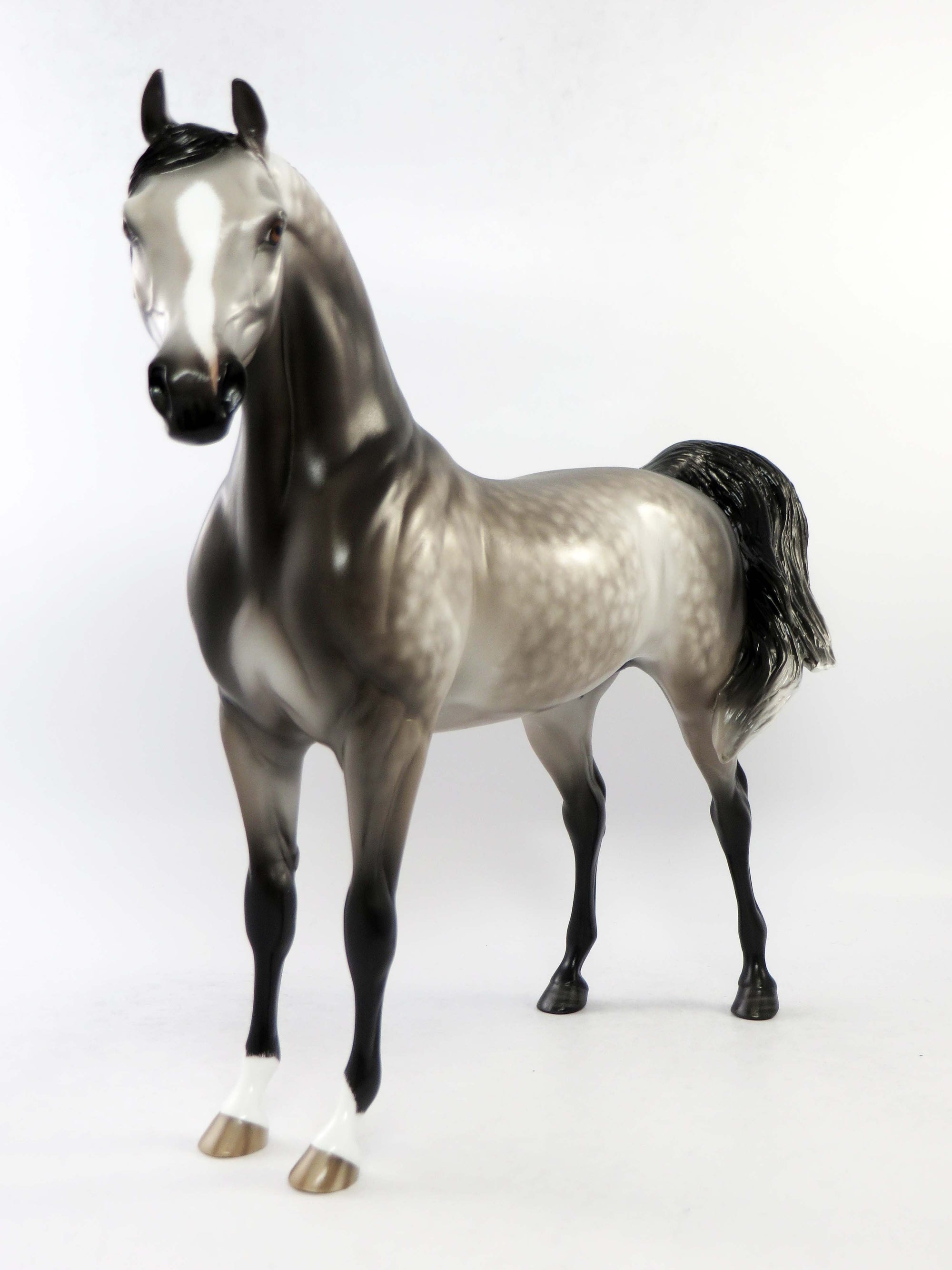 WILLOWICK-OOAK DARK GREY STAR DAPPLE ARABIAN MODEL HORSE BY SHERYL LEISURE EQ 2018