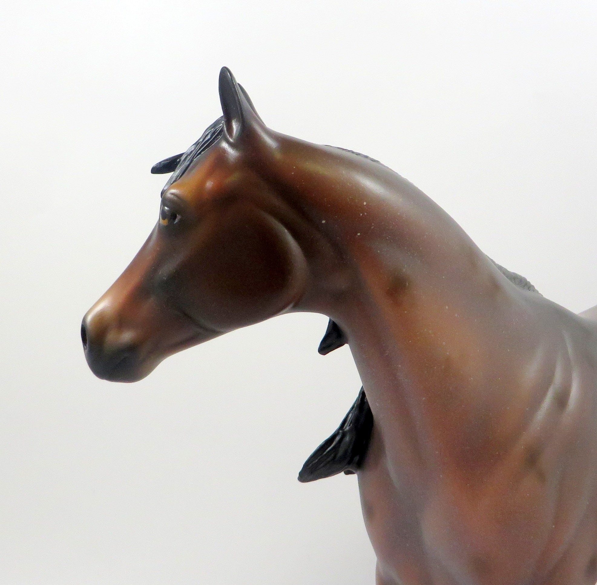 OBLIVION-OOAK BAY ROAN ISH MODEL HORSE 8/6/19