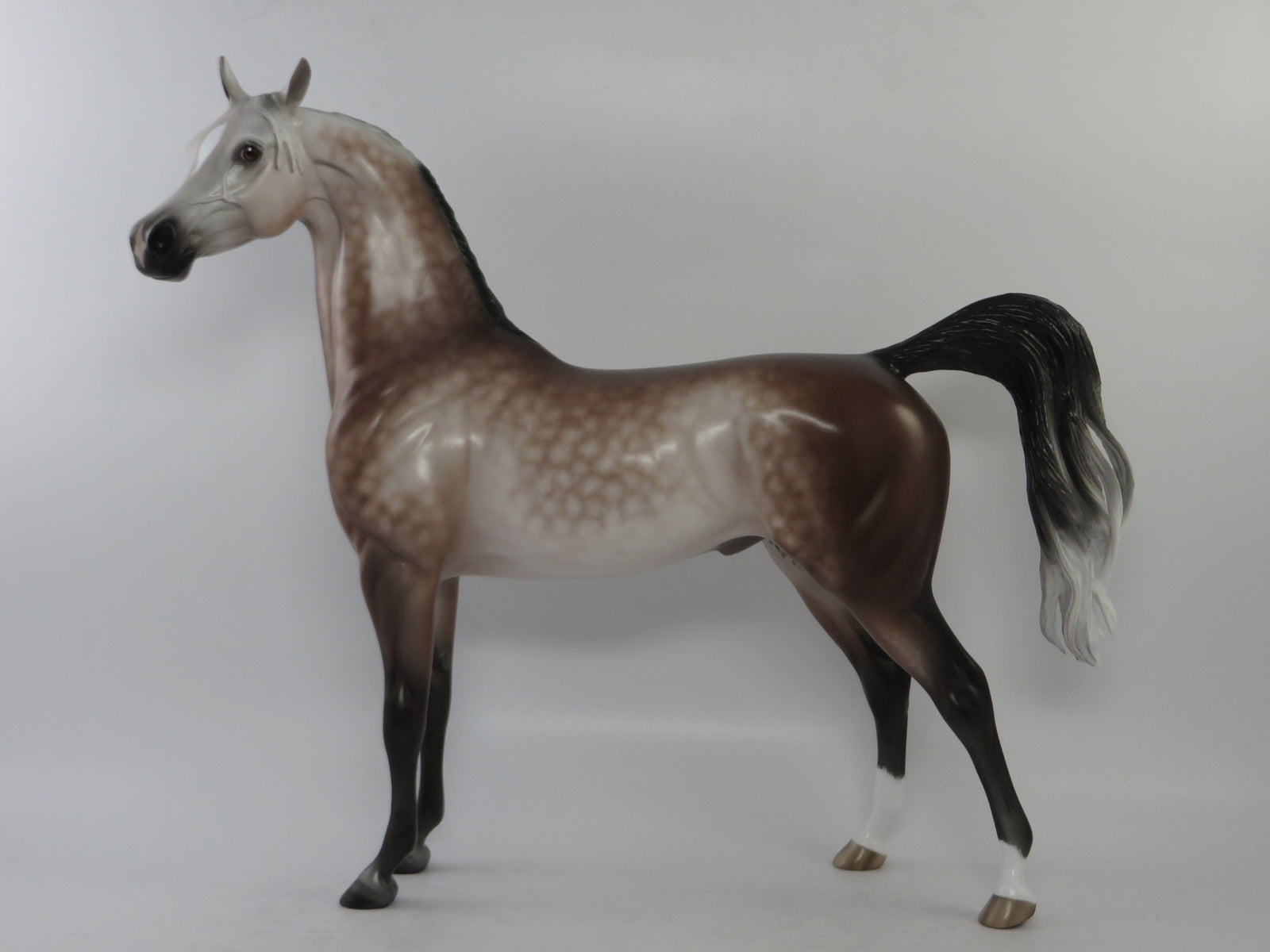 WILLARD - OOAK DARK ROSE GREY ARABIAN MODEL HORSE BY SHERYL LEISURE EQ 2018