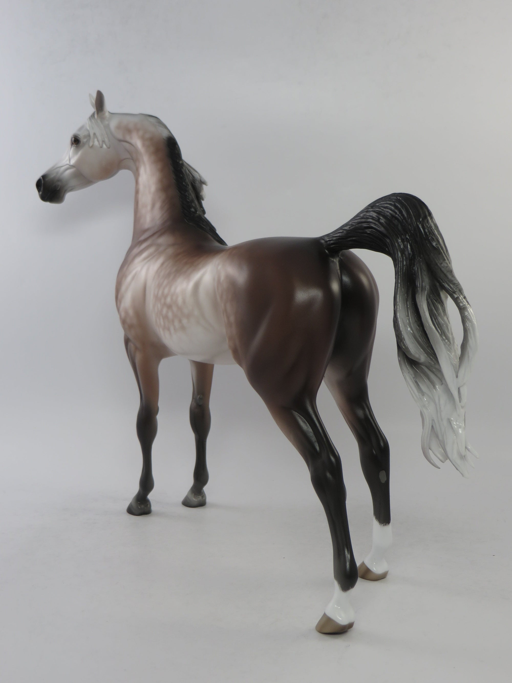 WILLARD - OOAK DARK ROSE GREY ARABIAN MODEL HORSE BY SHERYL LEISURE EQ 2018