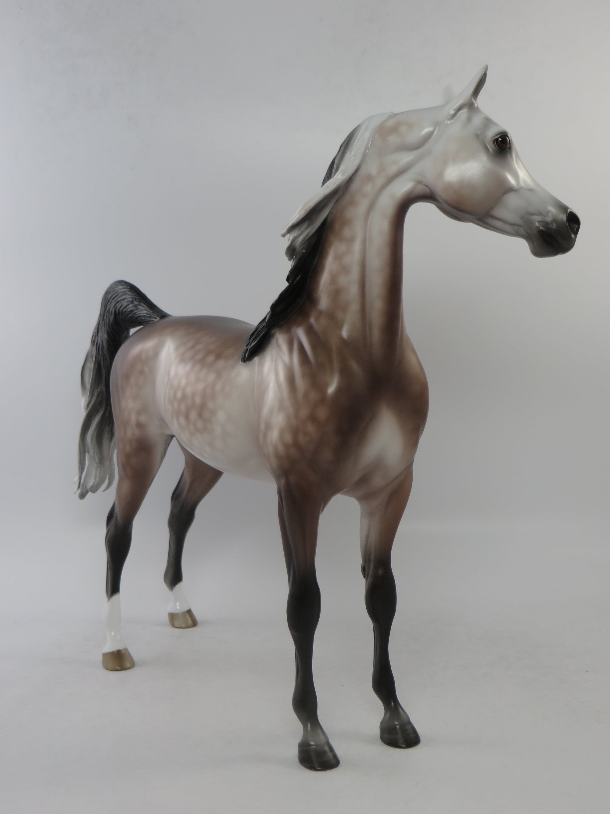 WILLARD - OOAK DARK ROSE GREY ARABIAN MODEL HORSE BY SHERYL LEISURE EQ 2018