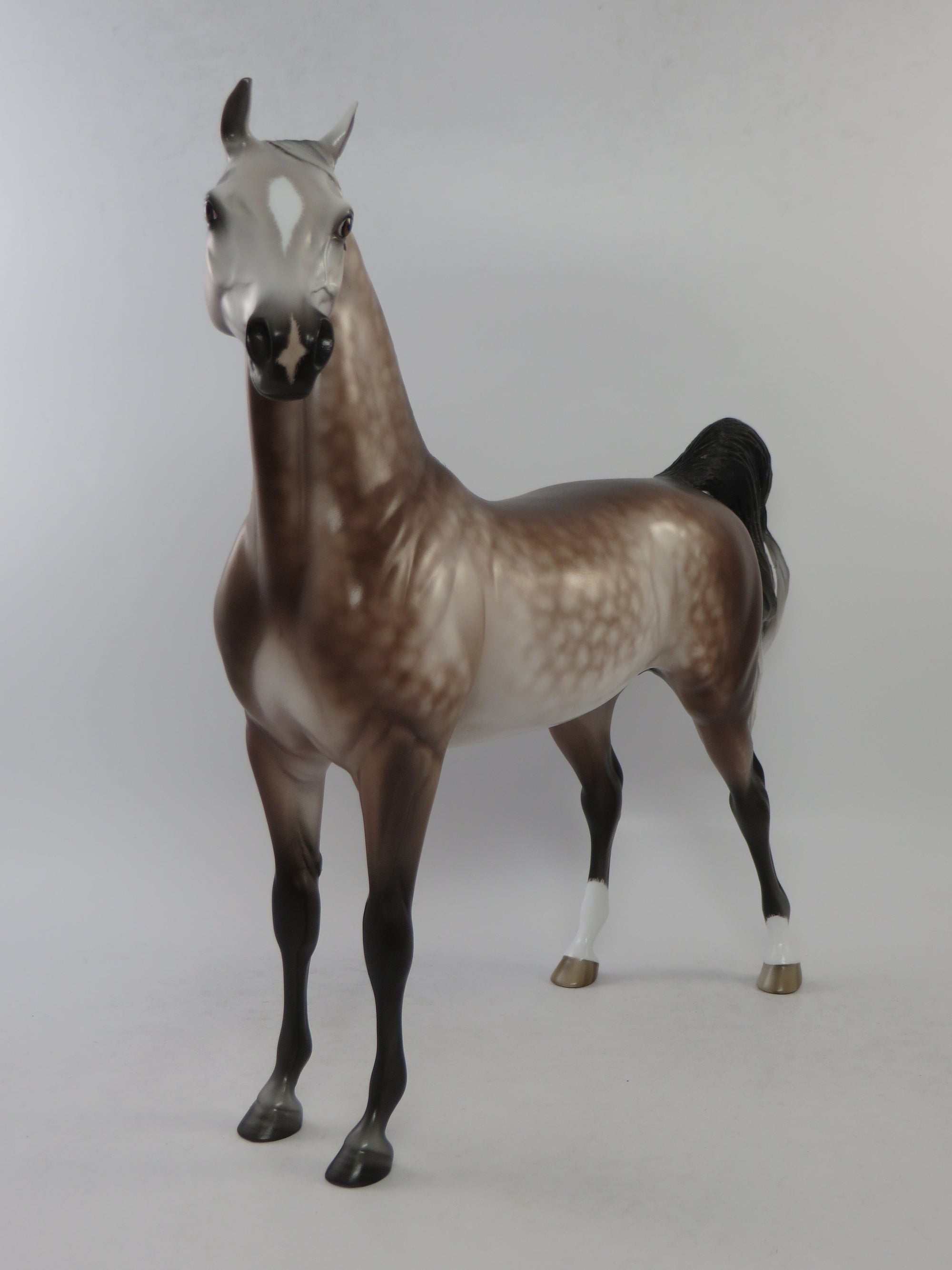 WILLARD - OOAK DARK ROSE GREY ARABIAN MODEL HORSE BY SHERYL LEISURE EQ 2018