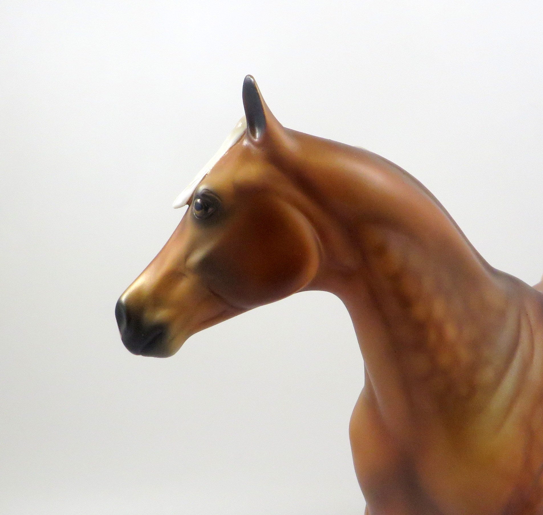 DUNCAN-OOAK CHESTNUT ISH MODEL HORSE EQ 19