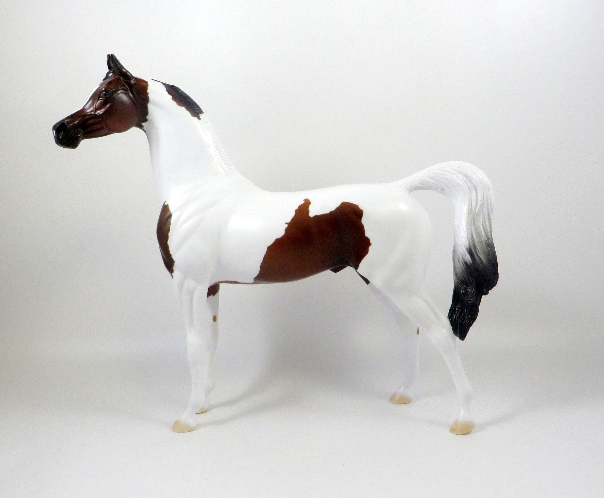 GALOT-OOAK BAY ARABIAN PAINT MODEL HORSE EQ 19