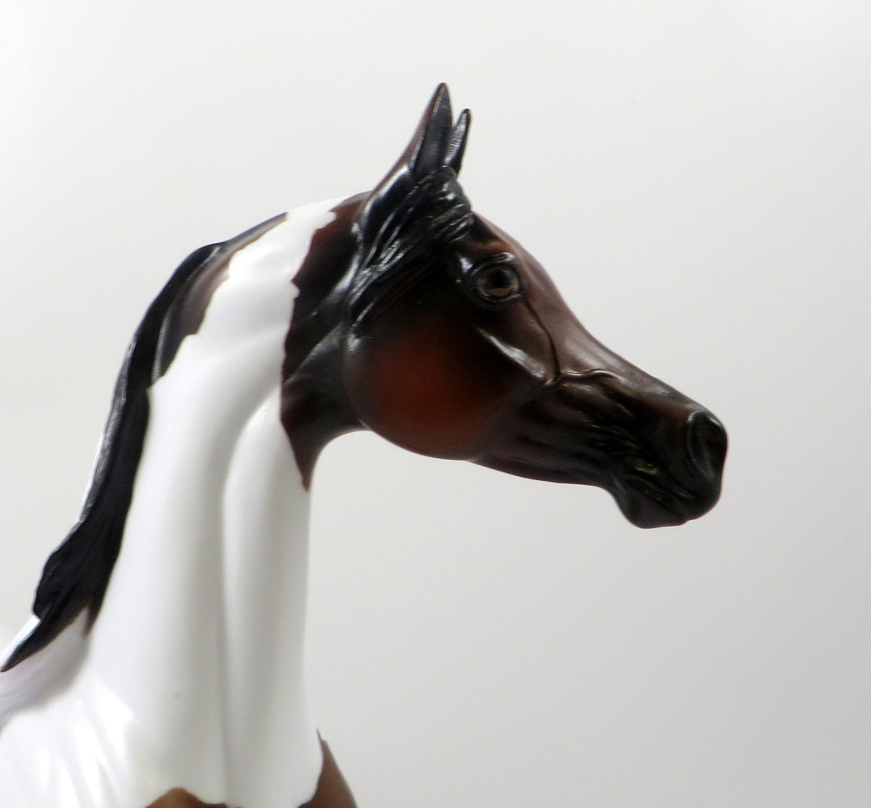 GALOT-OOAK BAY ARABIAN PAINT MODEL HORSE EQ 19