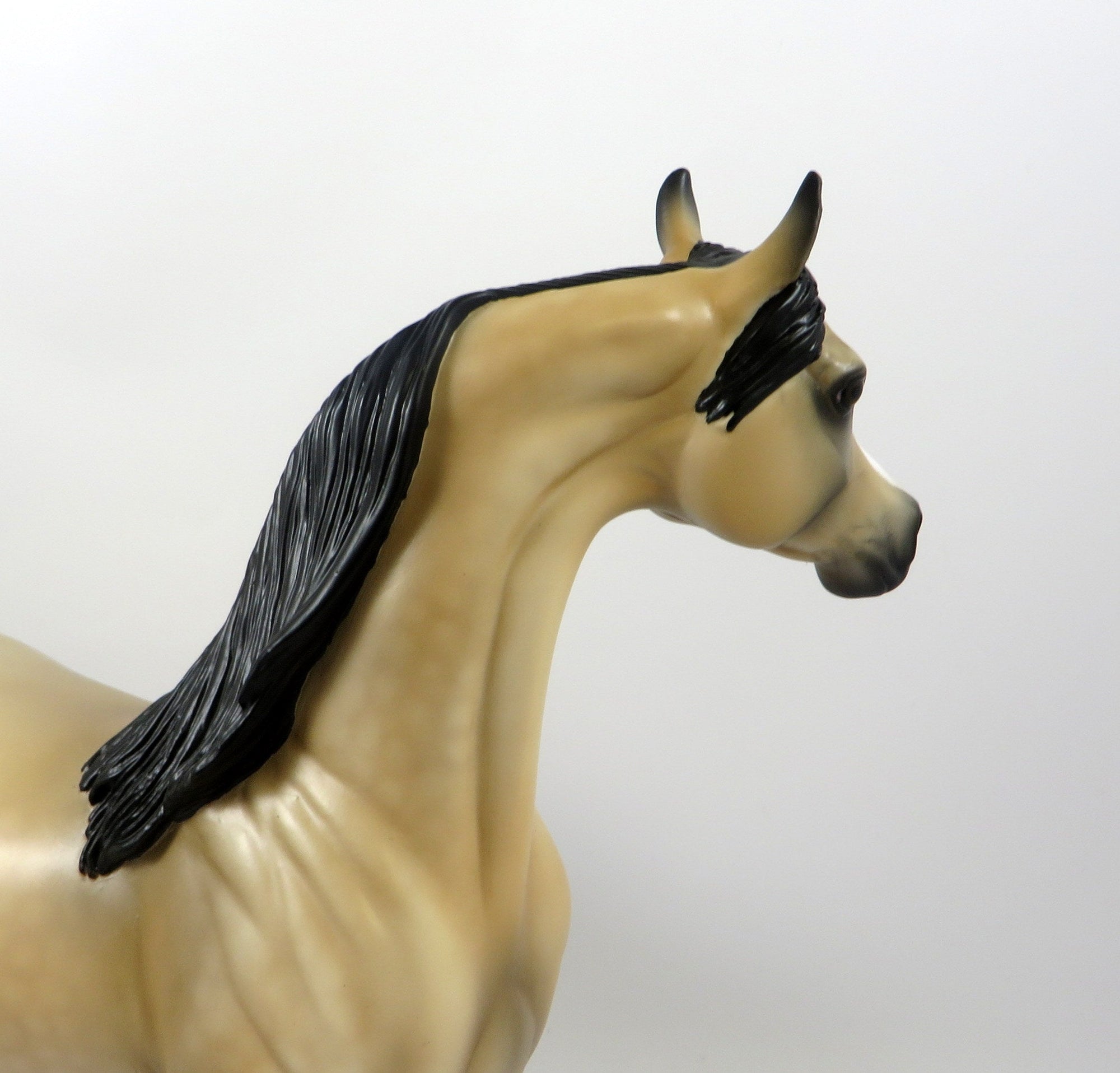 IN A FLASH-OOAK DAPPLE BUCKSKIN ARABIAN BY AUDREY DIXON 8/8/19