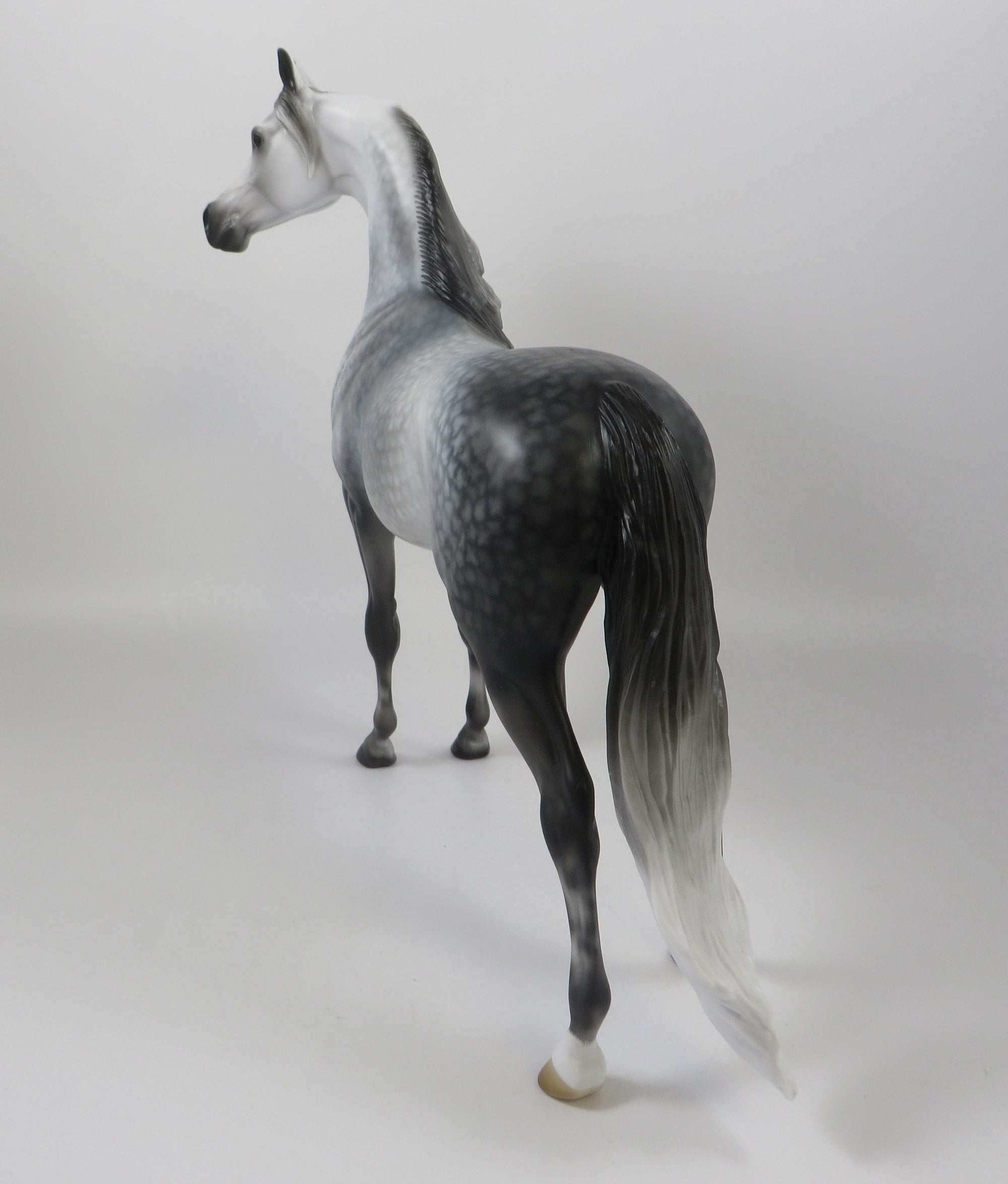 SAY IT AIN&#39;T SO-OOAK STAR DAPPLE GREY ARABIAN BY AUDREY DIXON 8/8/19