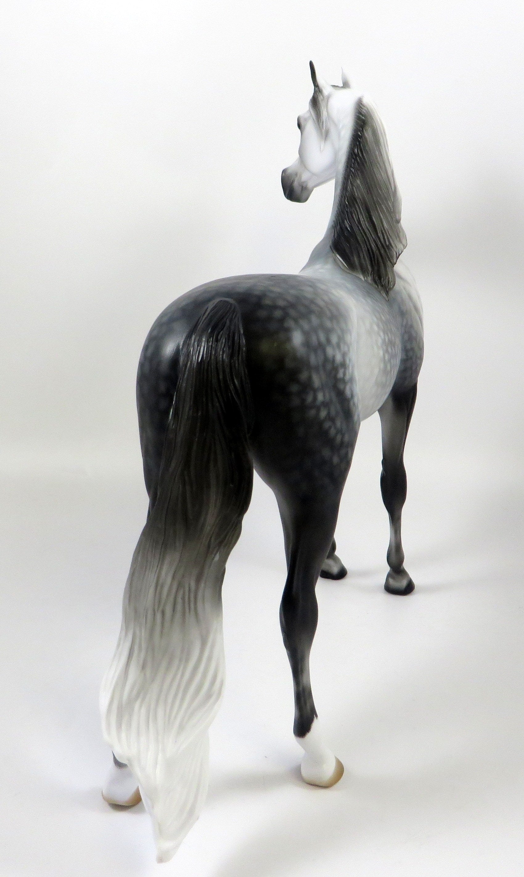 SAY IT AIN&#39;T SO-OOAK STAR DAPPLE GREY ARABIAN BY AUDREY DIXON 8/8/19