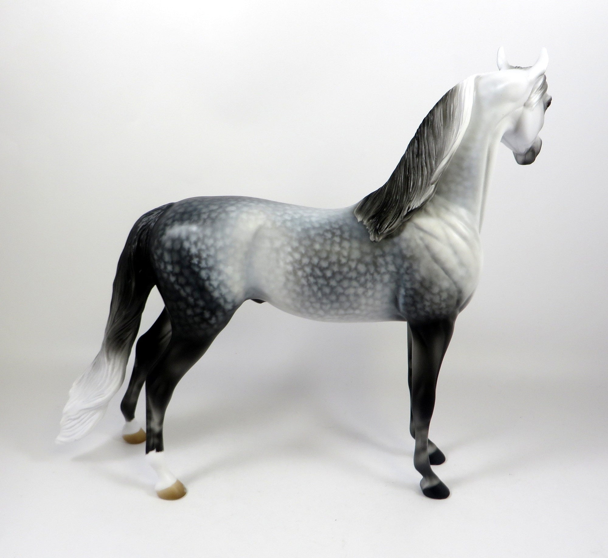 SAY IT AIN'T SO-OOAK STAR DAPPLE GREY ARABIAN BY AUDREY DIXON 8/8/19 ...