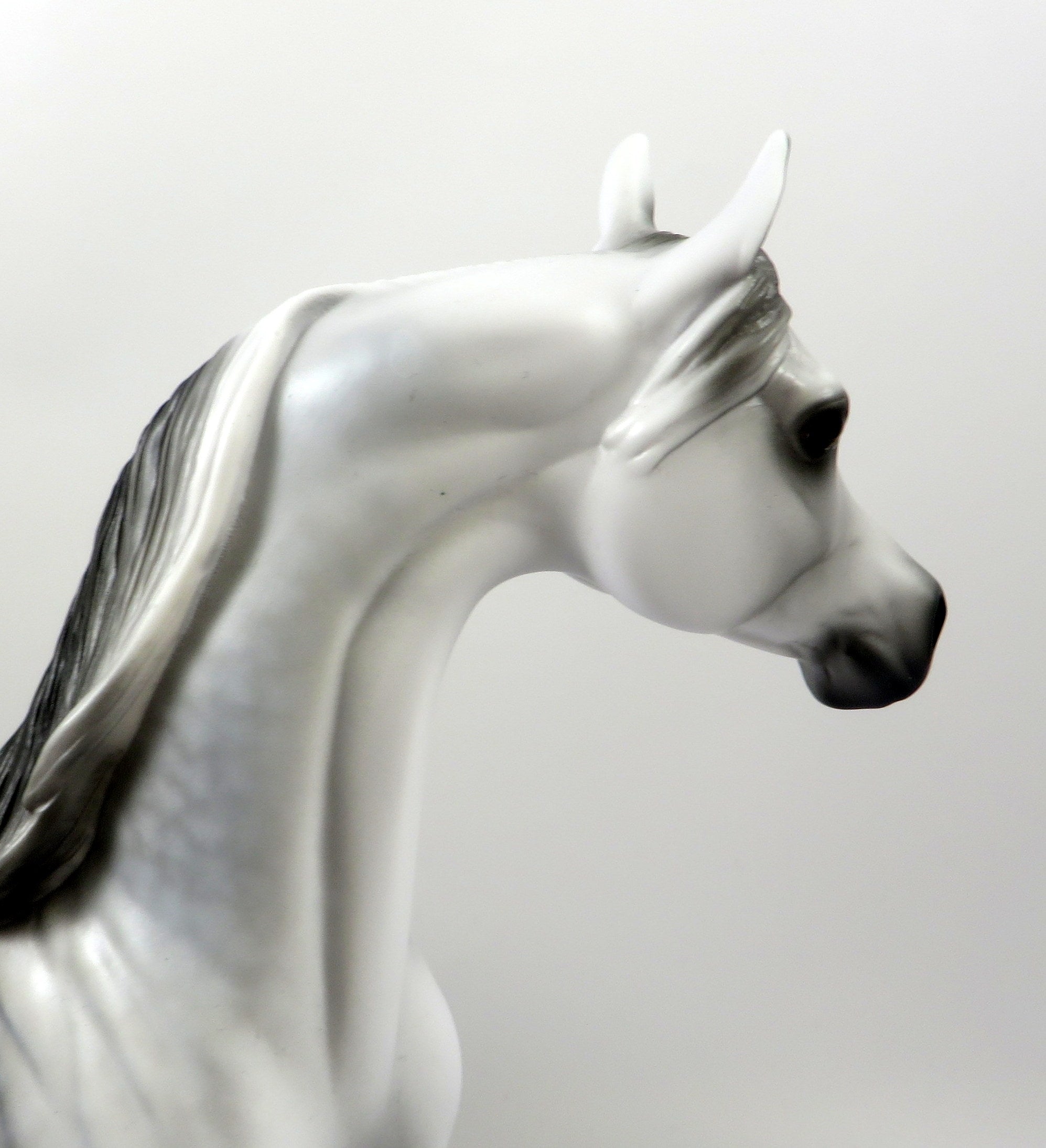 SAY IT AIN&#39;T SO-OOAK STAR DAPPLE GREY ARABIAN BY AUDREY DIXON 8/8/19