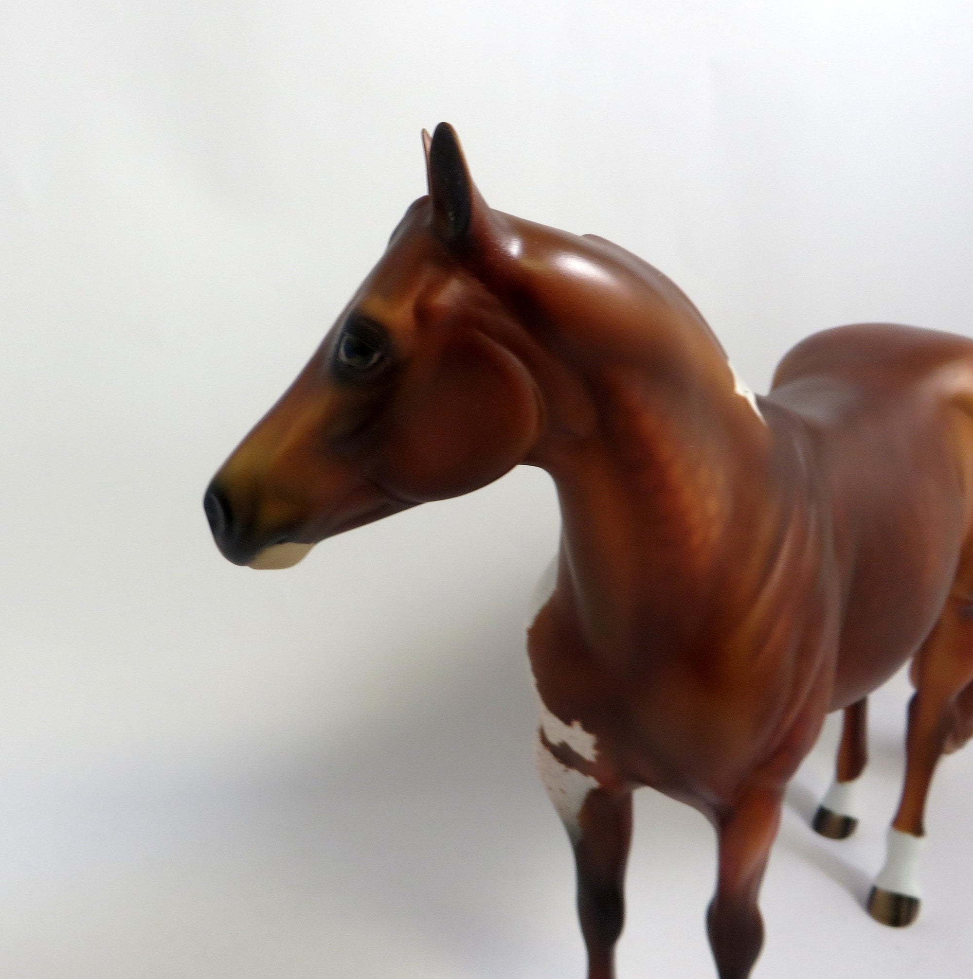 LIKA A WHISPER-OOAK DAPPLE CHESTNUT ISH BY AUDREY DIXON 8/8/19