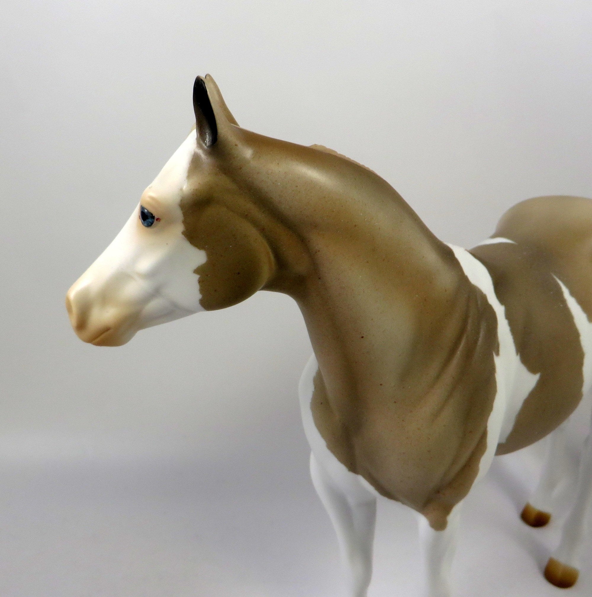 ICE CREAM SOCIAL-LIGHT CHESTNUT PINTO ISH MODEL HORSE 8/14/19