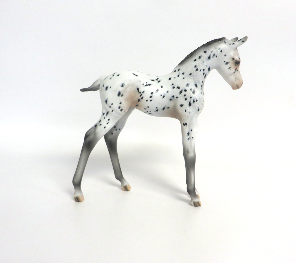 KIT KAT- OOAK ARABIAN FOAL APPALOOSA BY DAWN QUICK 3-15-19