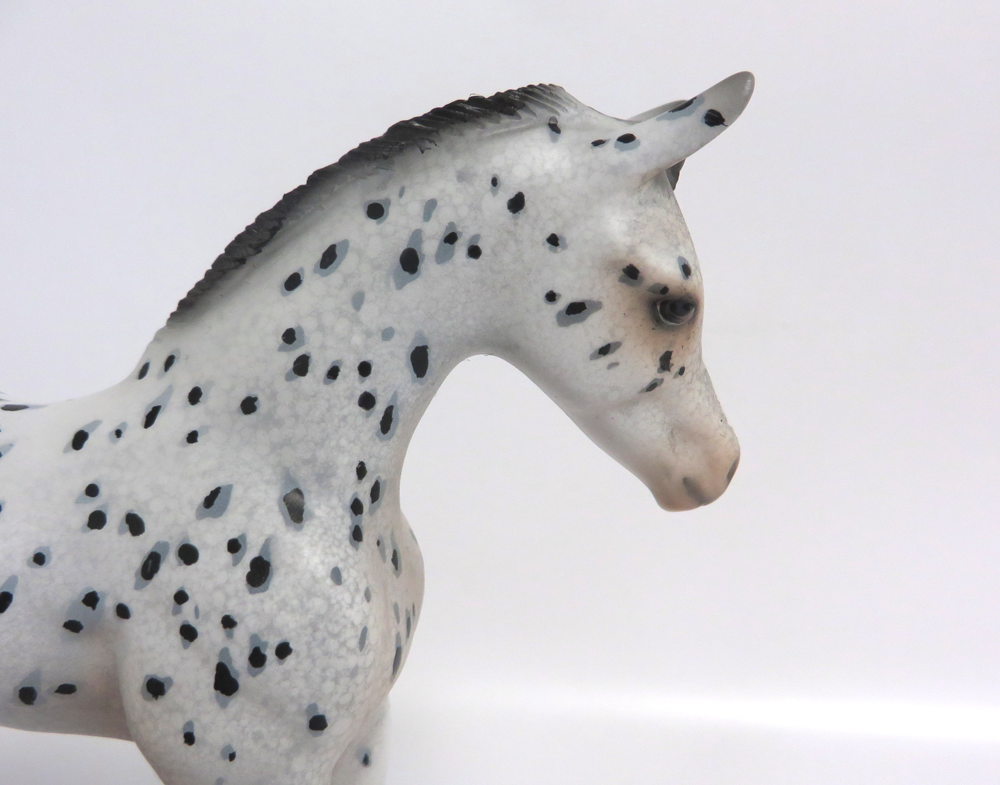 KIT KAT- OOAK ARABIAN FOAL APPALOOSA BY DAWN QUICK 3-15-19