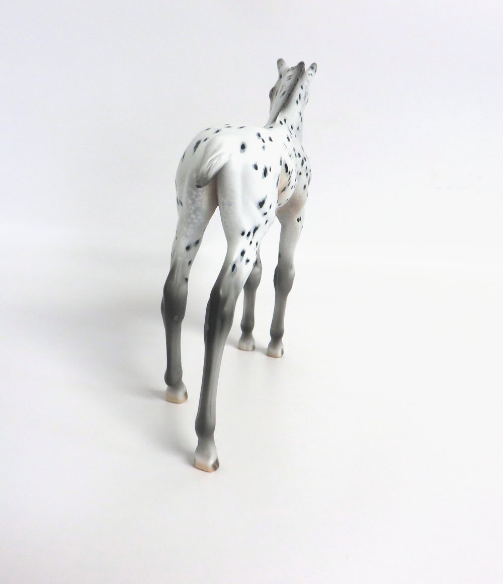 KIT KAT- OOAK ARABIAN FOAL APPALOOSA BY DAWN QUICK 3-15-19
