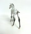 KIT KAT- OOAK ARABIAN FOAL APPALOOSA BY DAWN QUICK 3-15-19