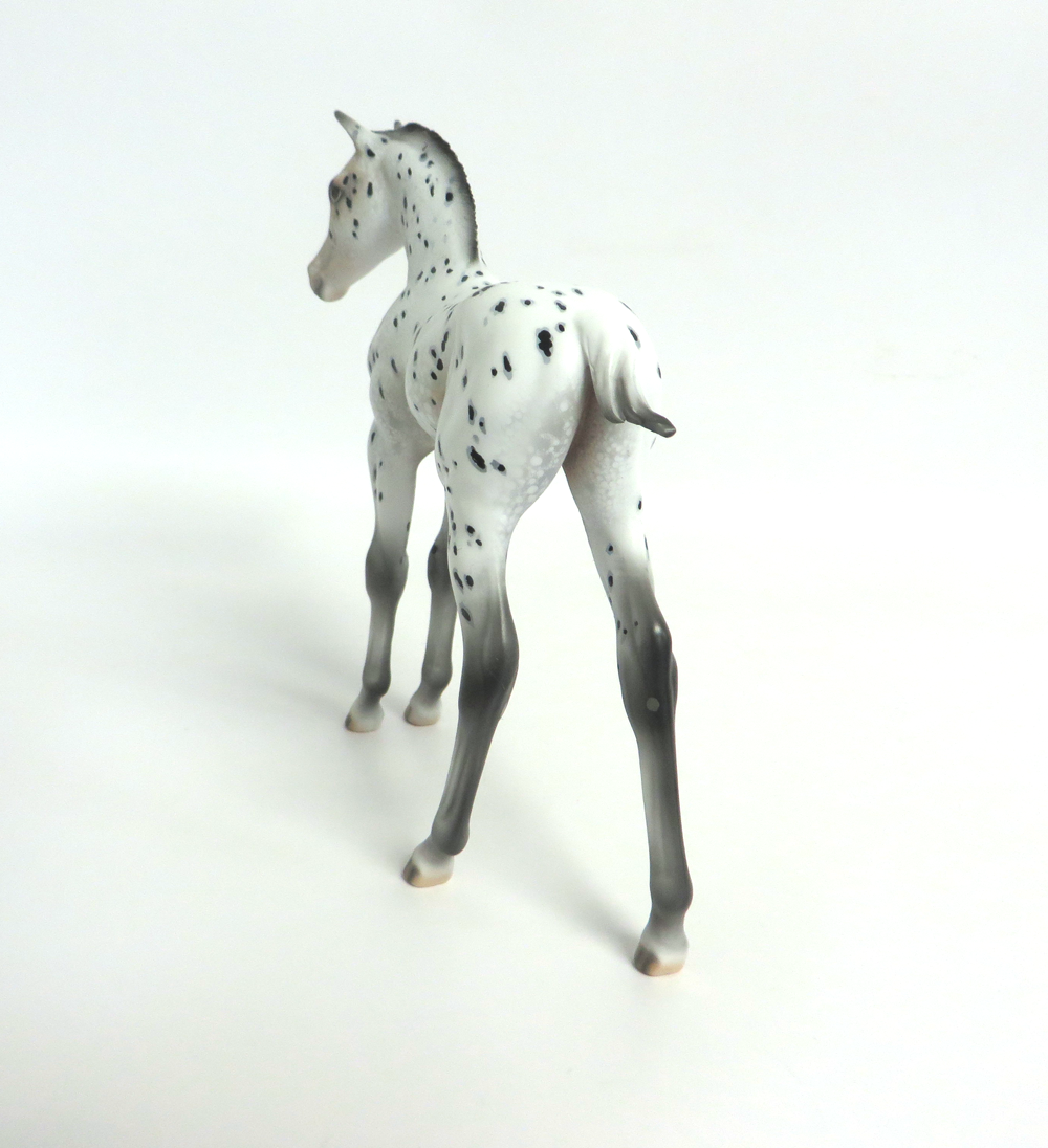 KIT KAT- OOAK ARABIAN FOAL APPALOOSA BY DAWN QUICK 3-15-19