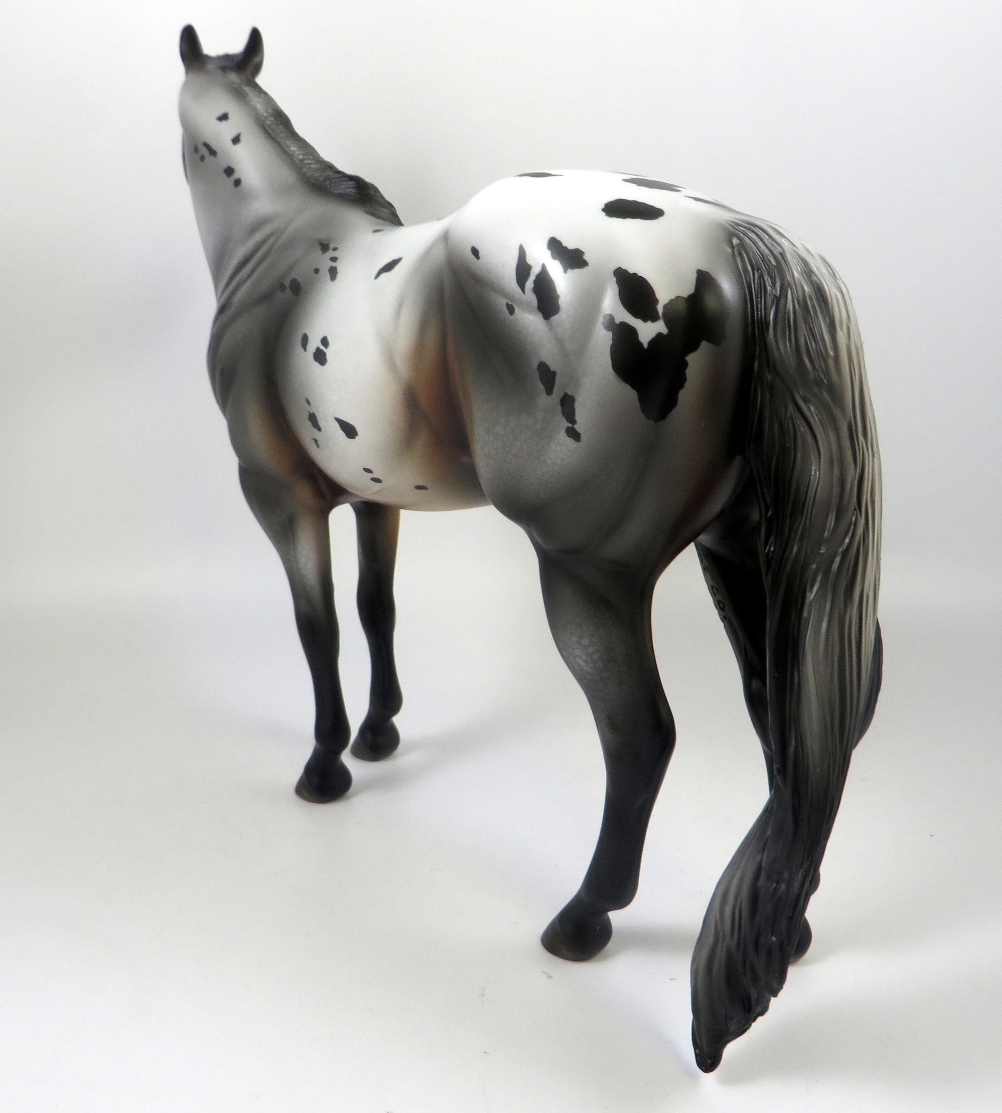 BERRY DELIICIOUS-OOAK APPALOOSA BAY ISH MODEL HORSE BY MISSY FOX 8/14/19
