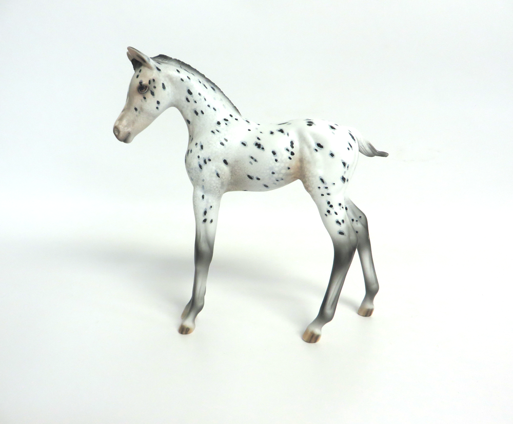 KIT KAT- OOAK ARABIAN FOAL APPALOOSA BY DAWN QUICK 3-15-19