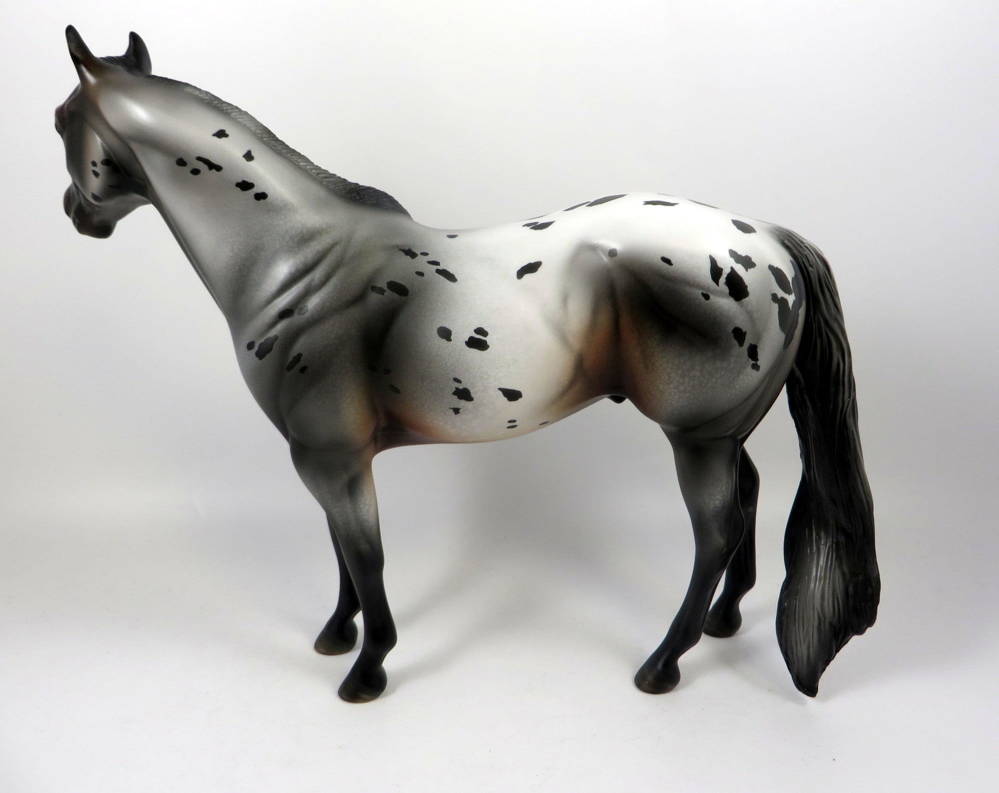 BERRY DELIICIOUS-OOAK APPALOOSA BAY ISH MODEL HORSE BY MISSY FOX 8/14/19