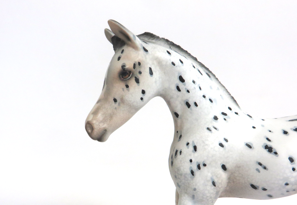 KIT KAT- OOAK ARABIAN FOAL APPALOOSA BY DAWN QUICK 3-15-19